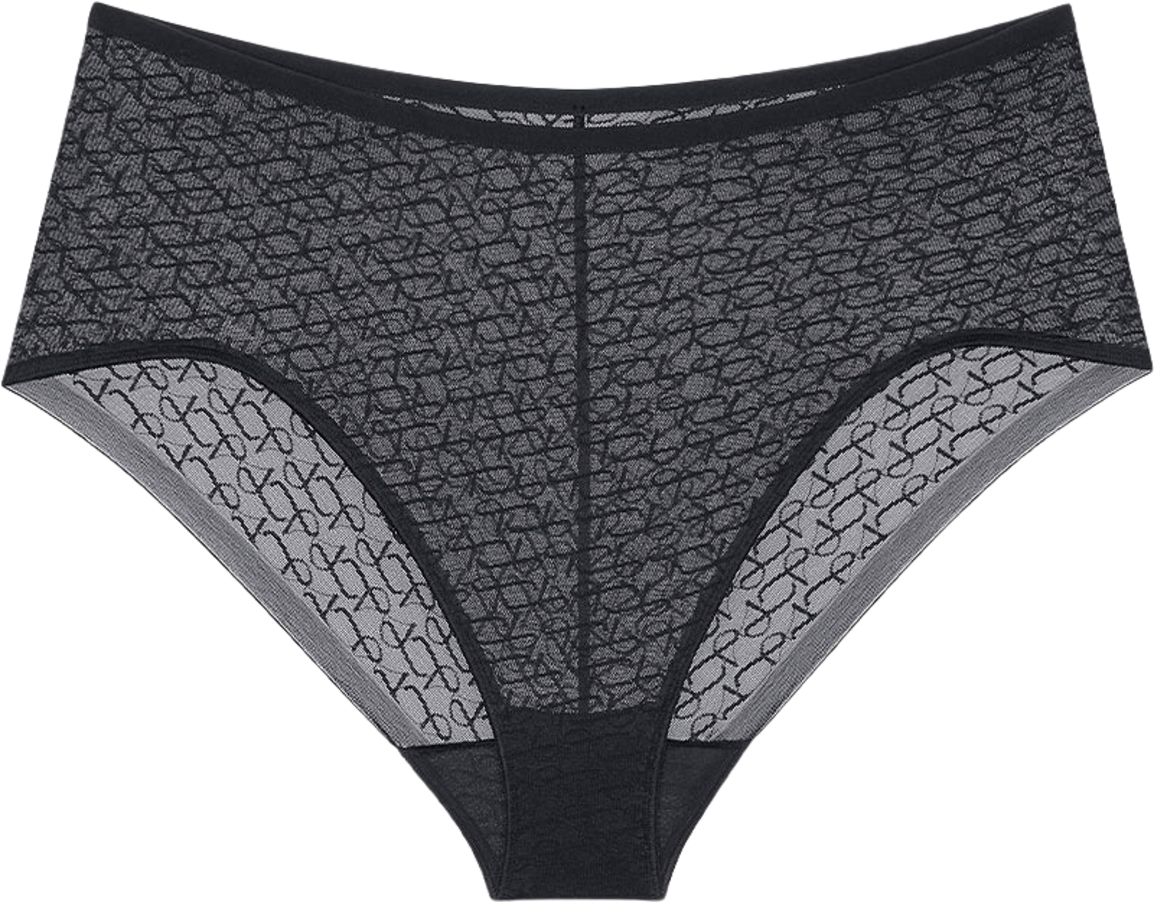 Signature Sheer Maxi Brief