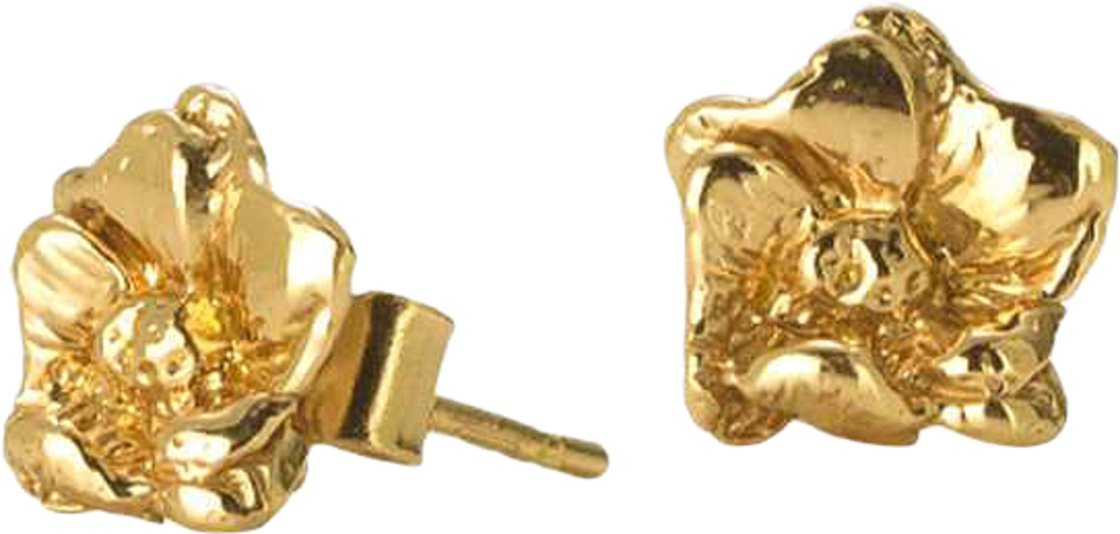 Earrings Clean flower