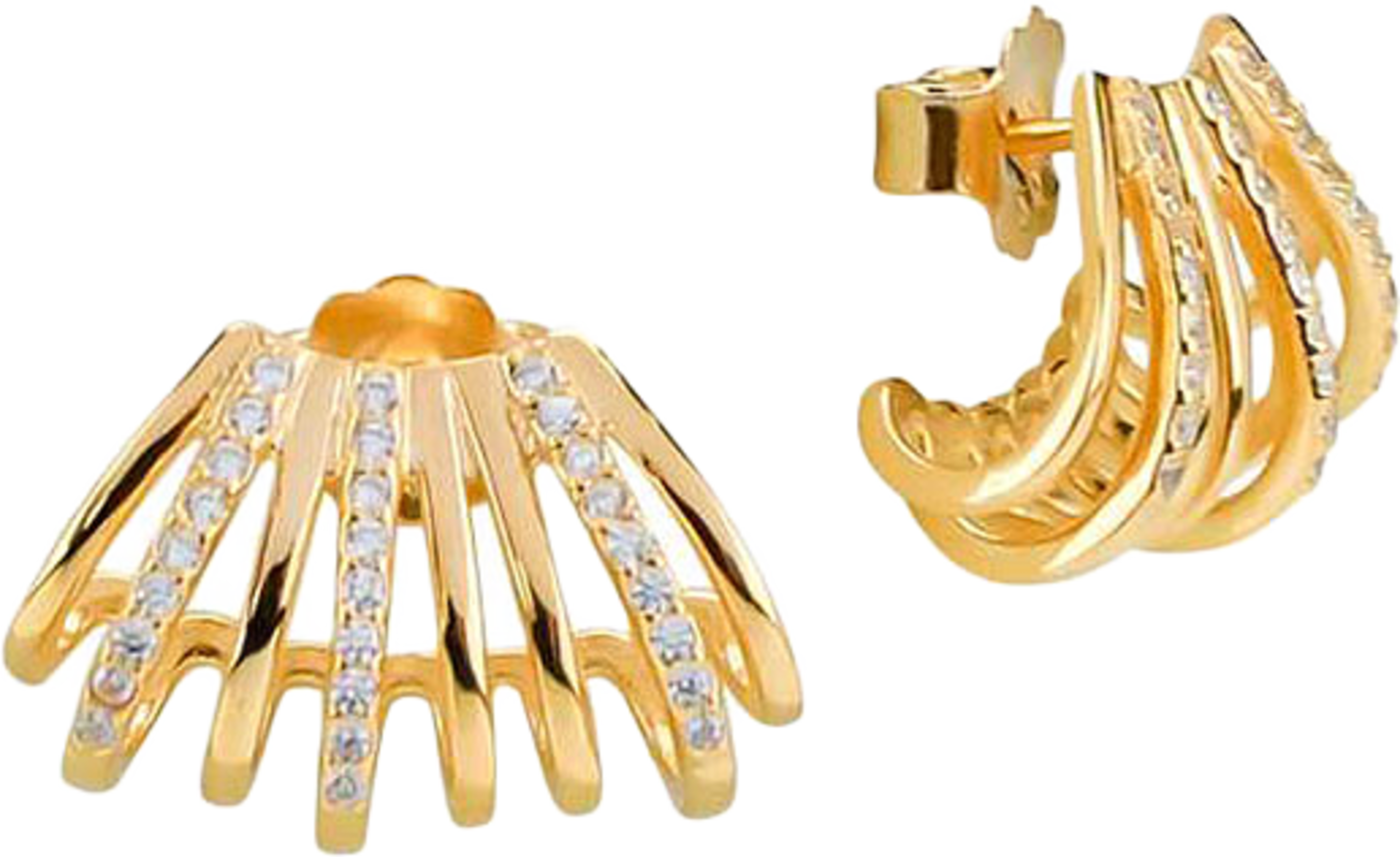 Earrings Feather