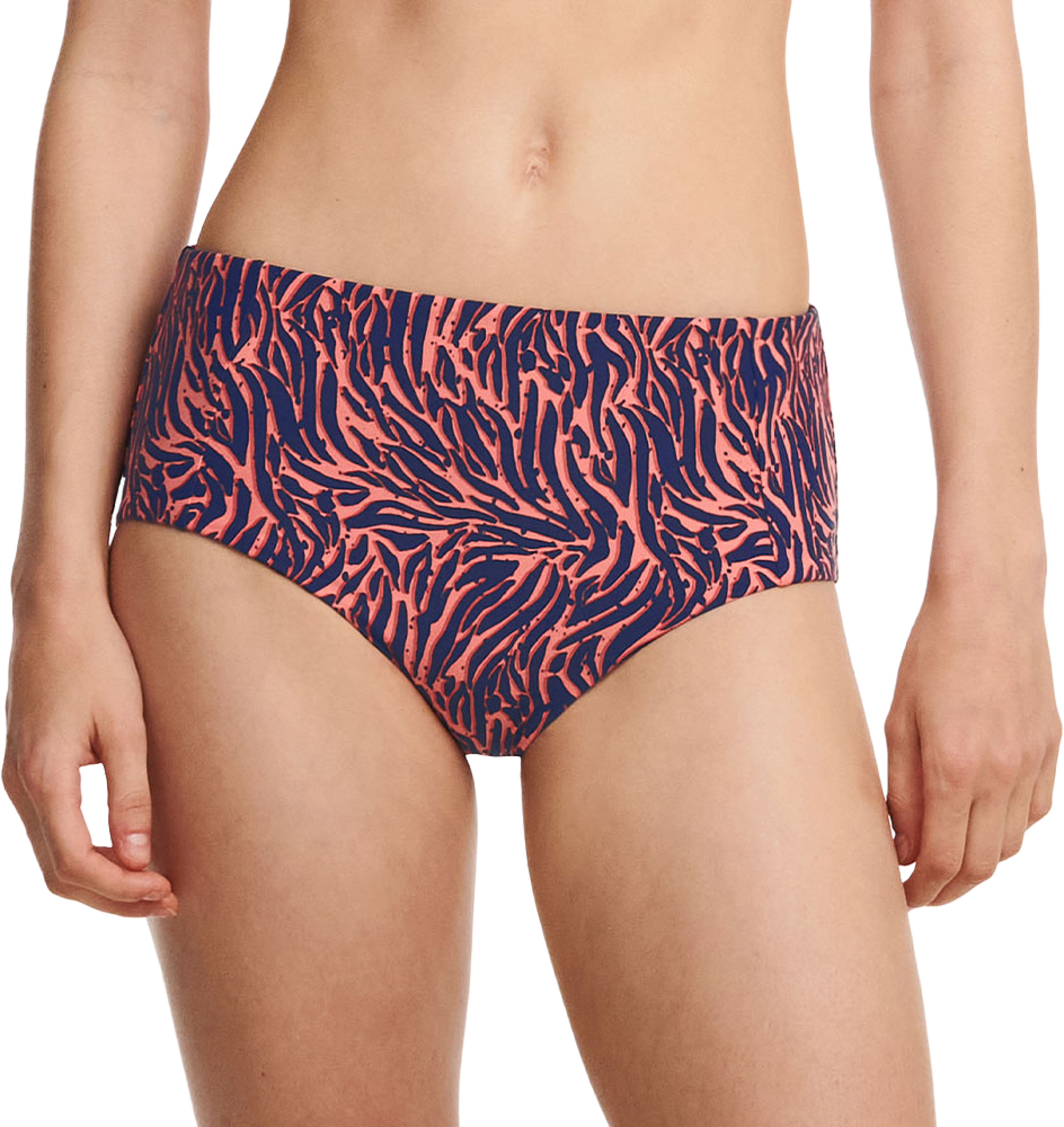 Tidra High-Waisted Brief