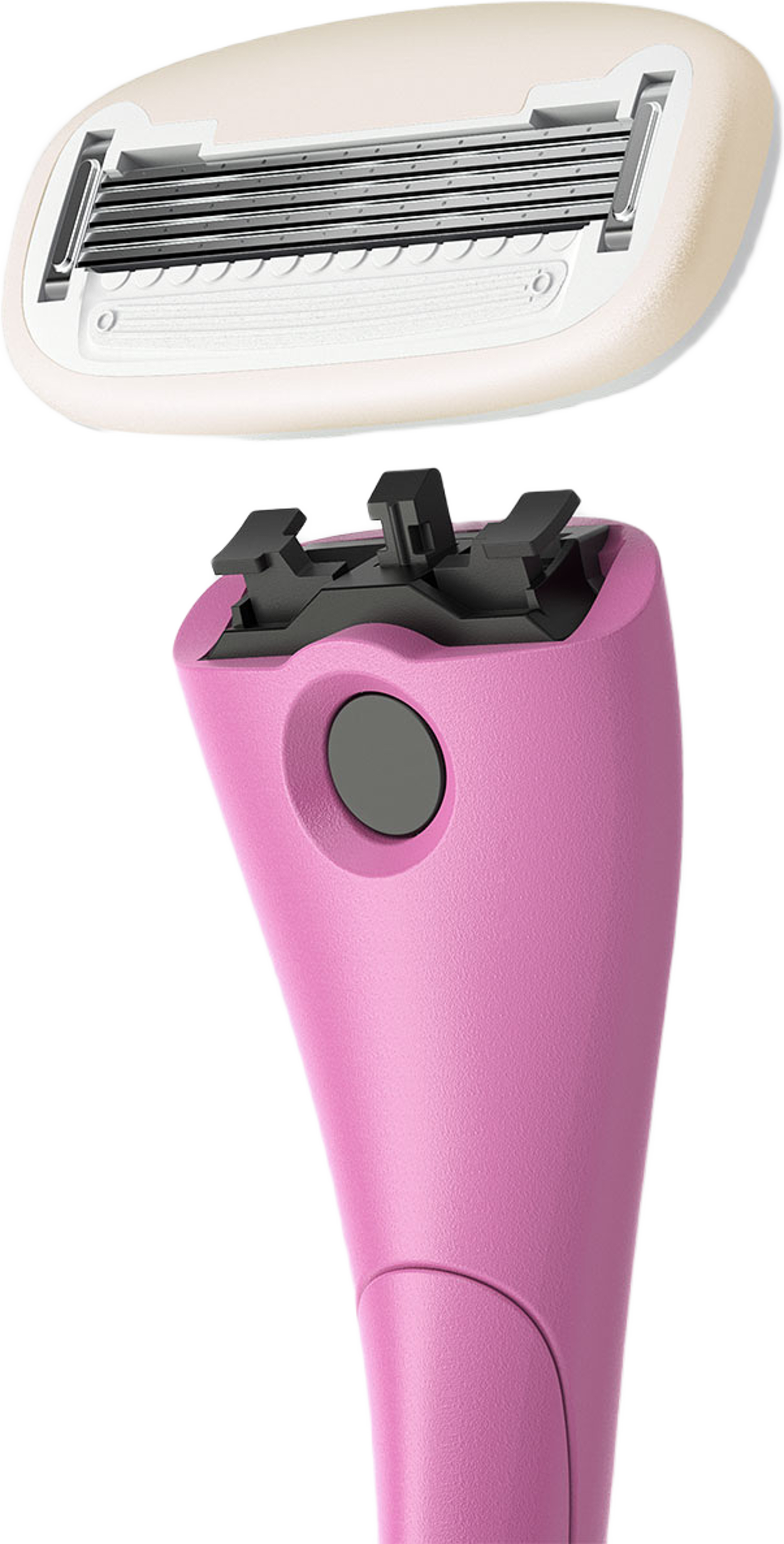 Startkit Guava