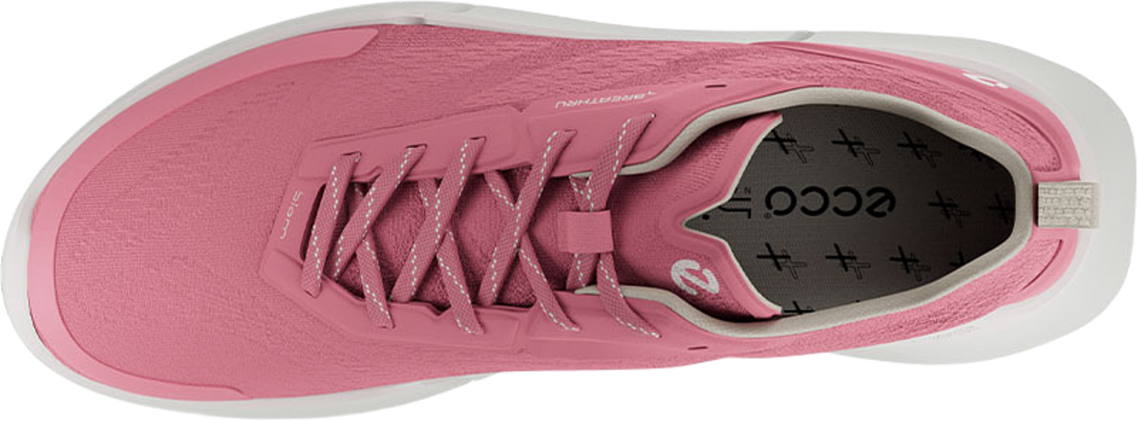 Biom 2.2 W