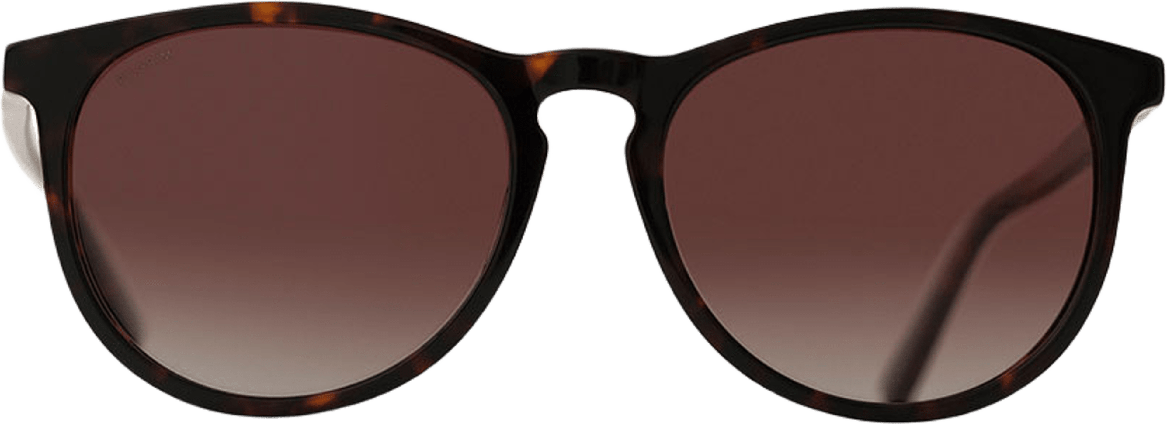 SAHARA Solglasögon