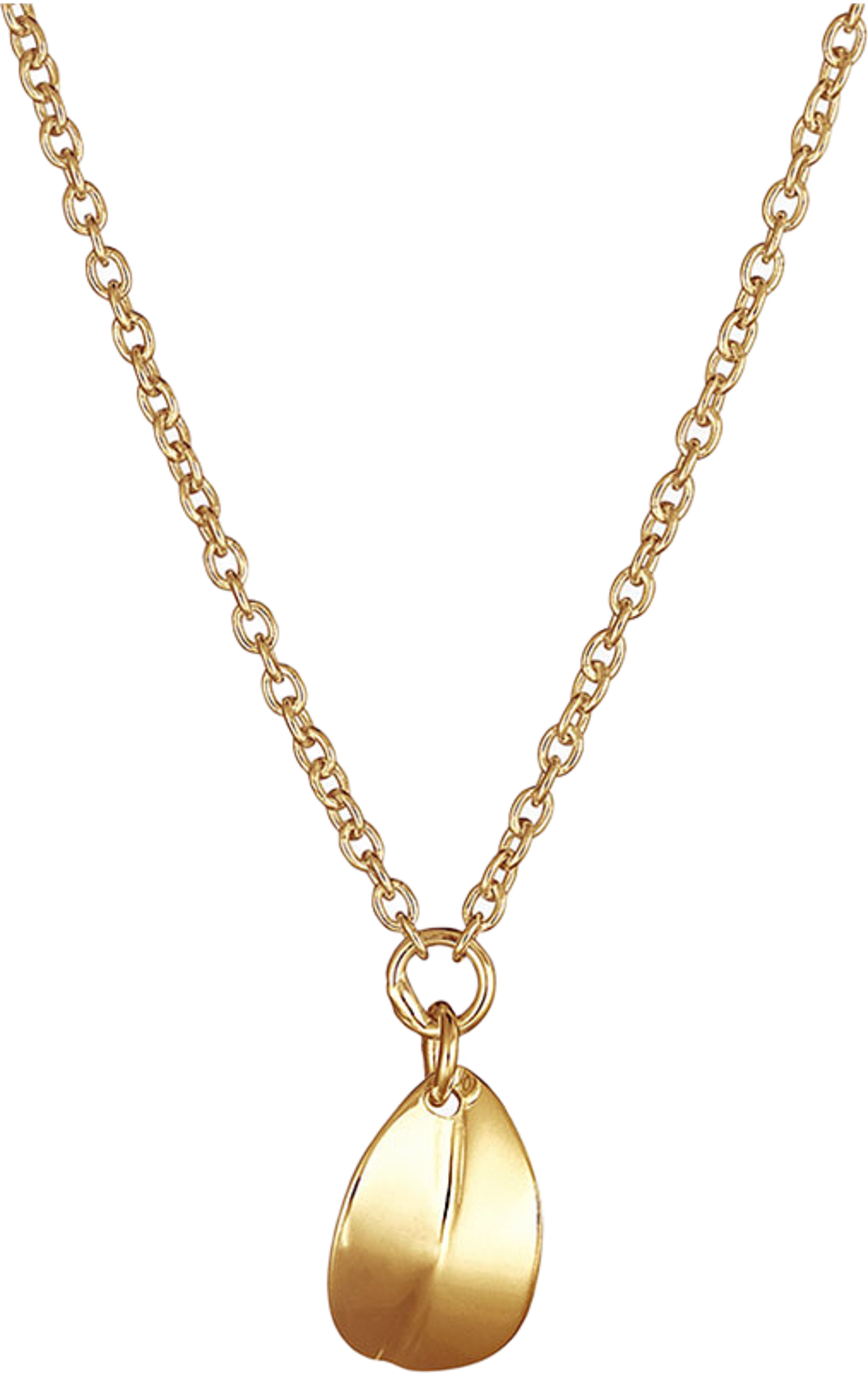 Botanica halsband med ett litet löv i guld