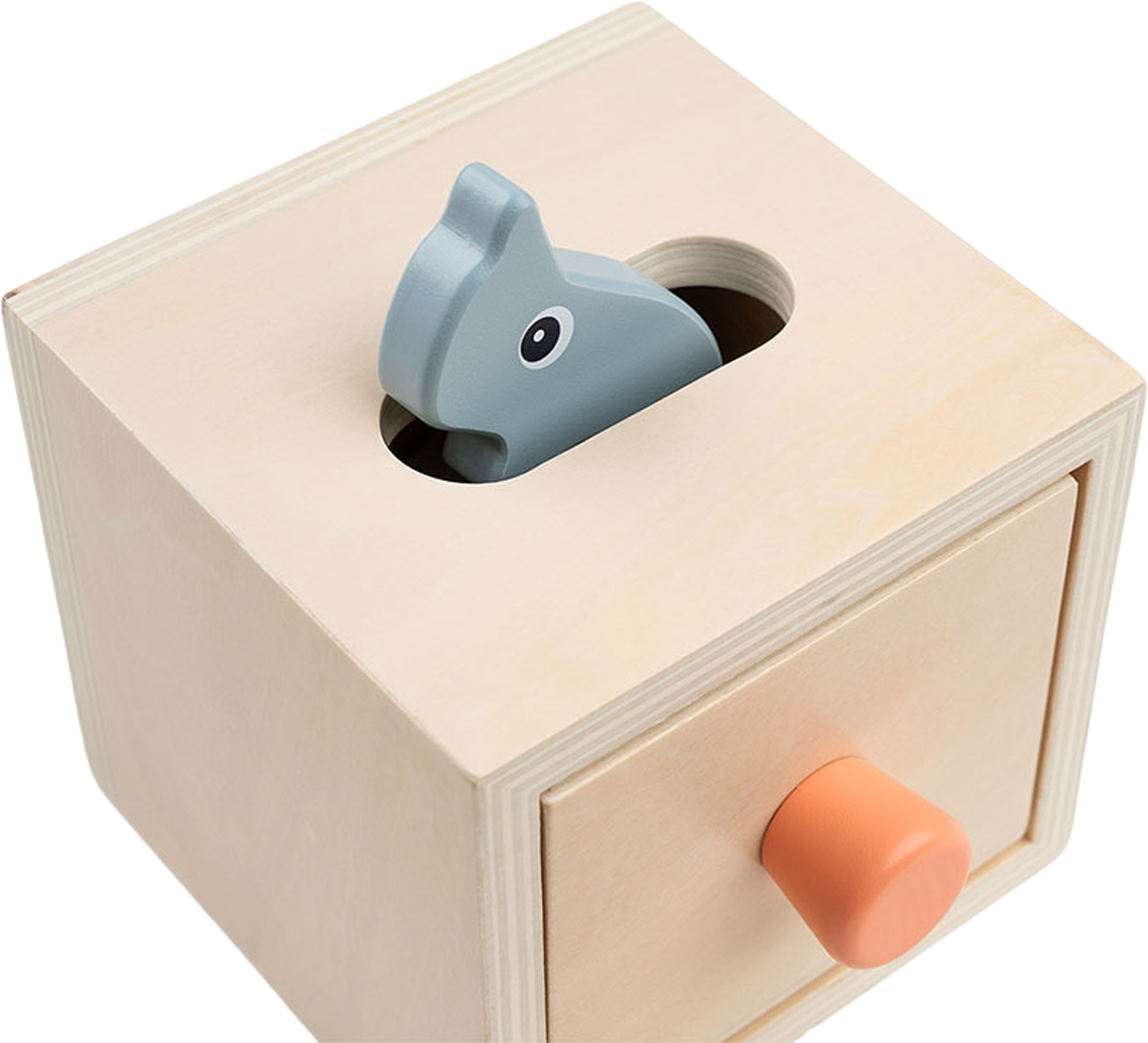 Hide&Find box Nozo Colour mix