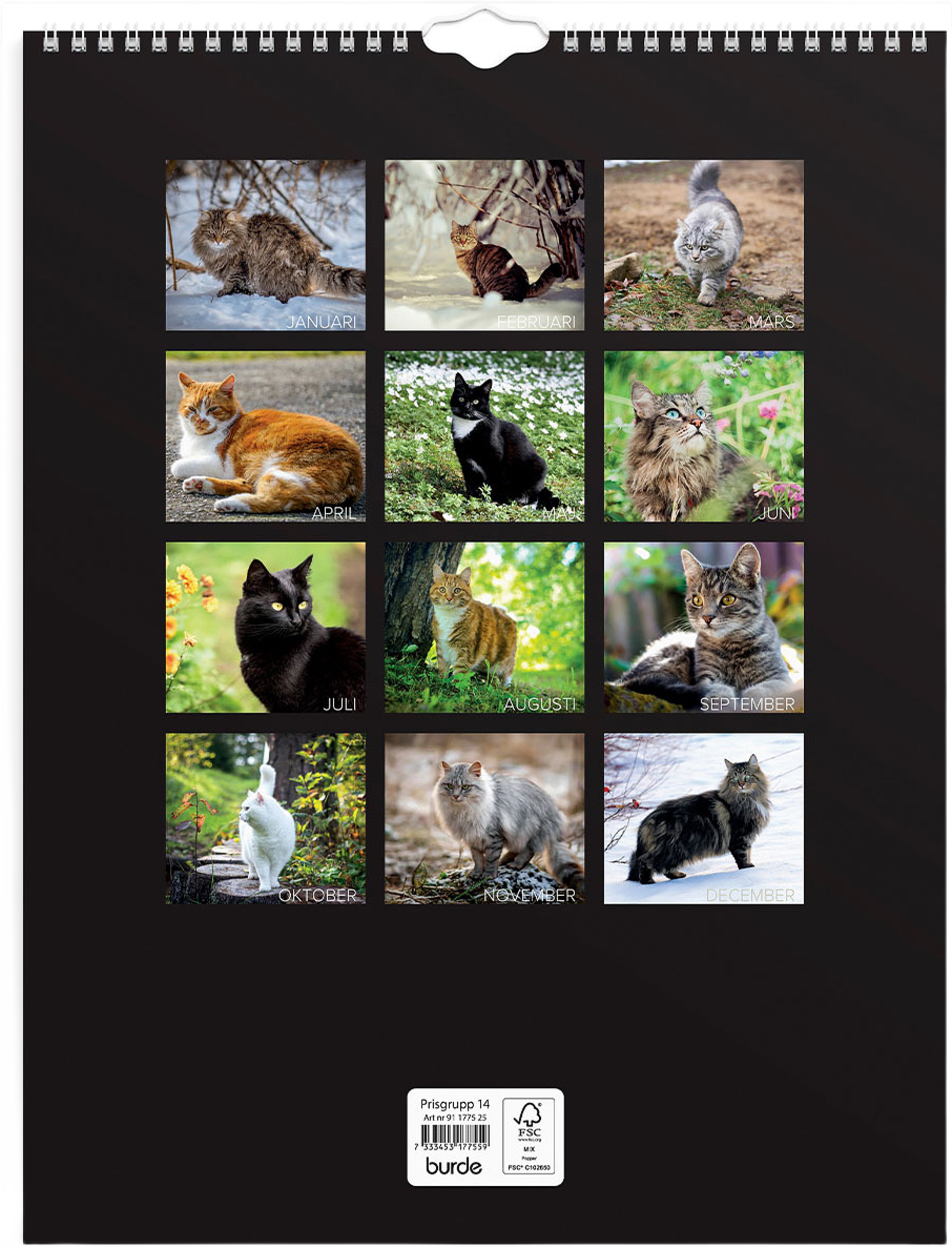 Väggkalender 2025 Stora Kattkalendern