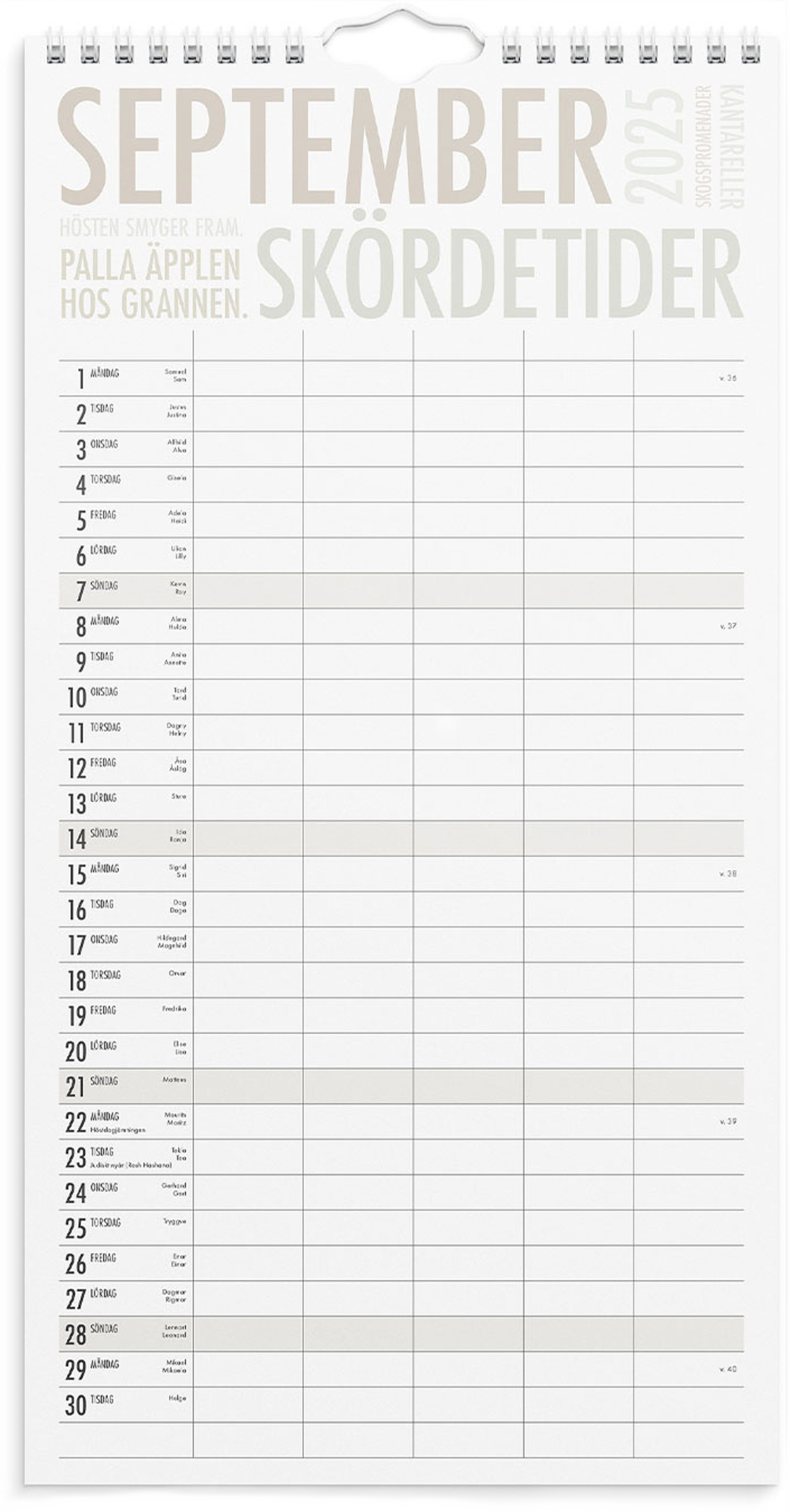 Familjekalender 2025 Trendart