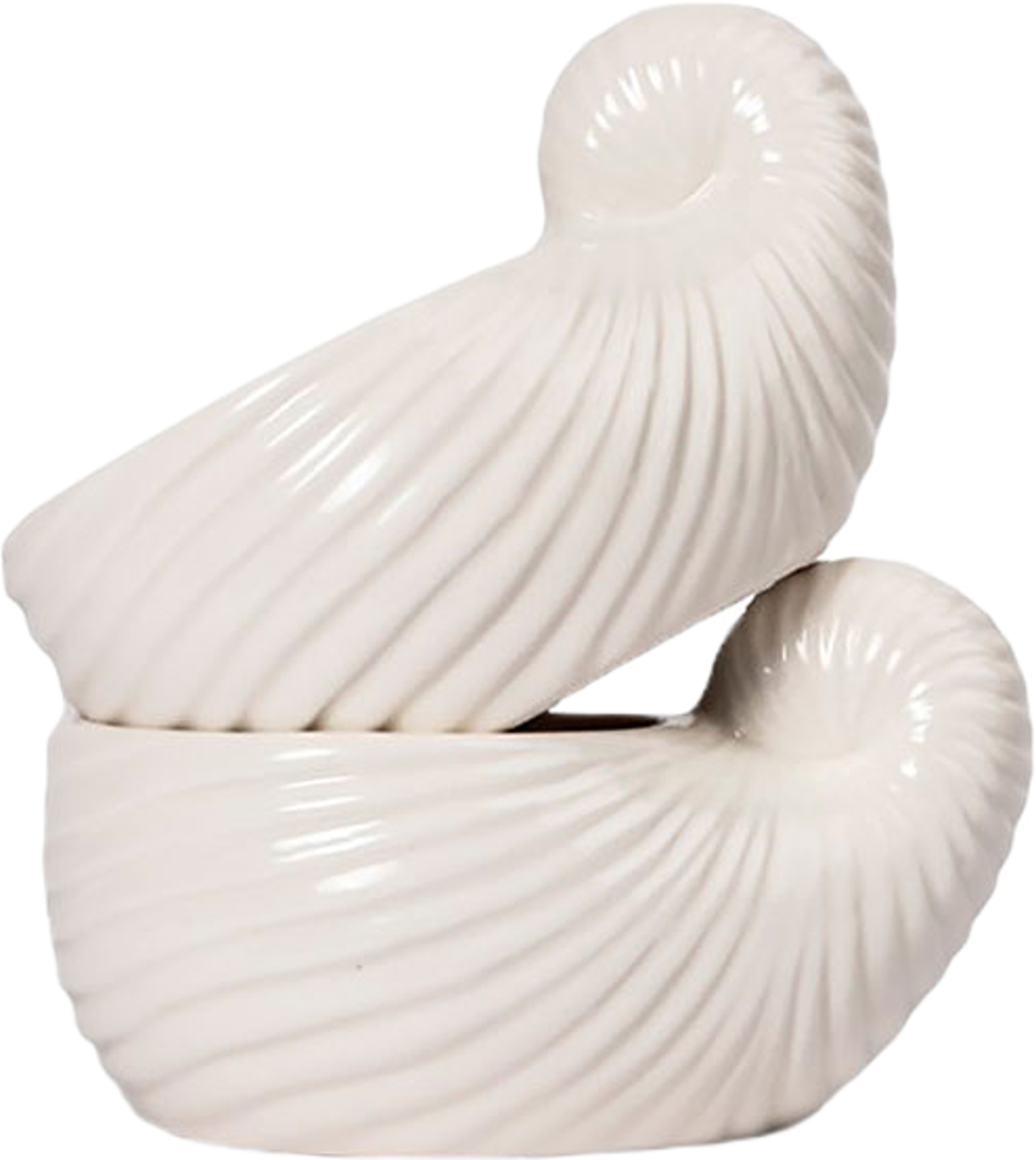 Kopp Shelley, 2-pack