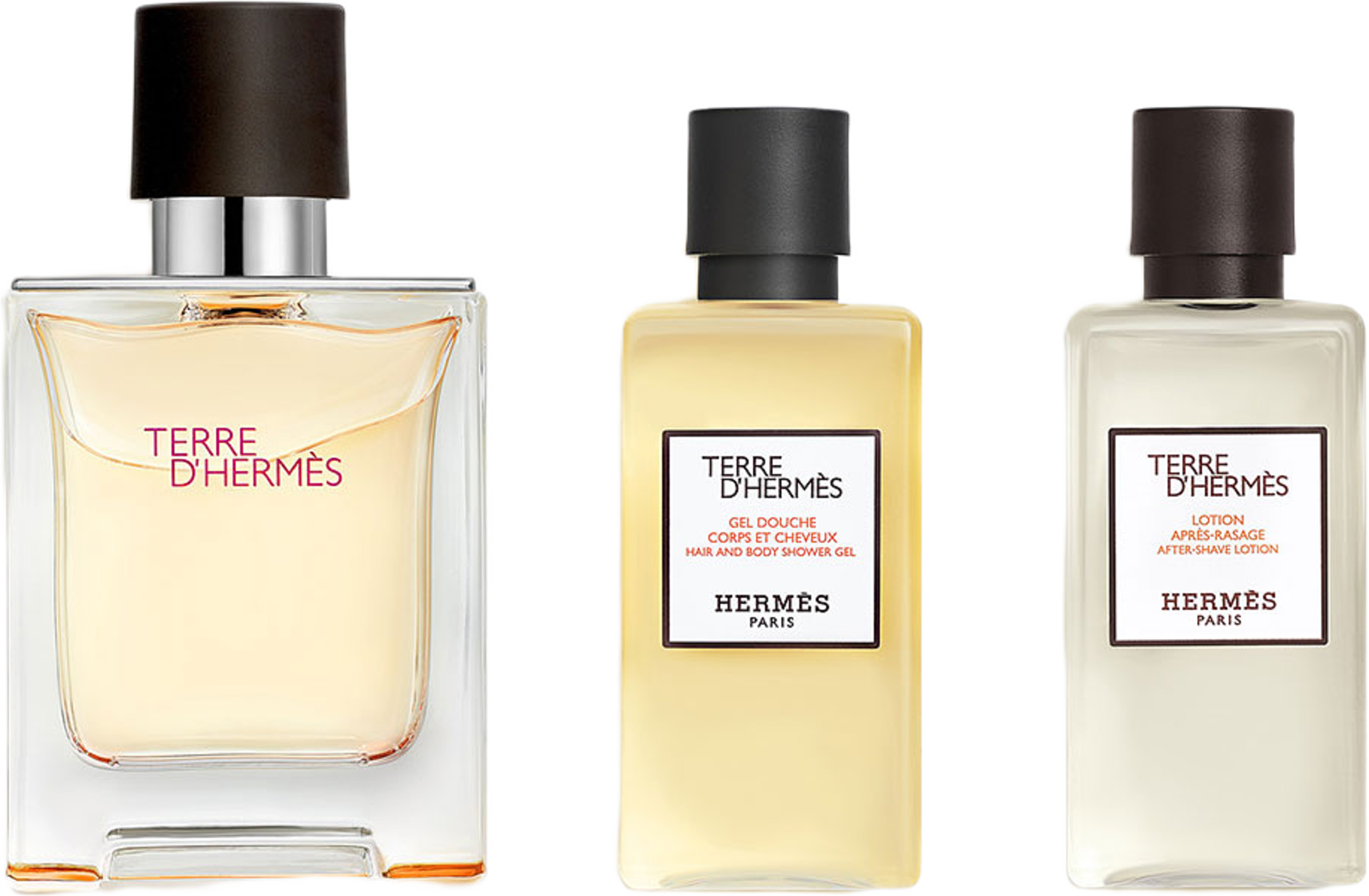 Terre d'Hermès EDT Set 50ml + HBSG 40ml + ASL 40ml FEH24