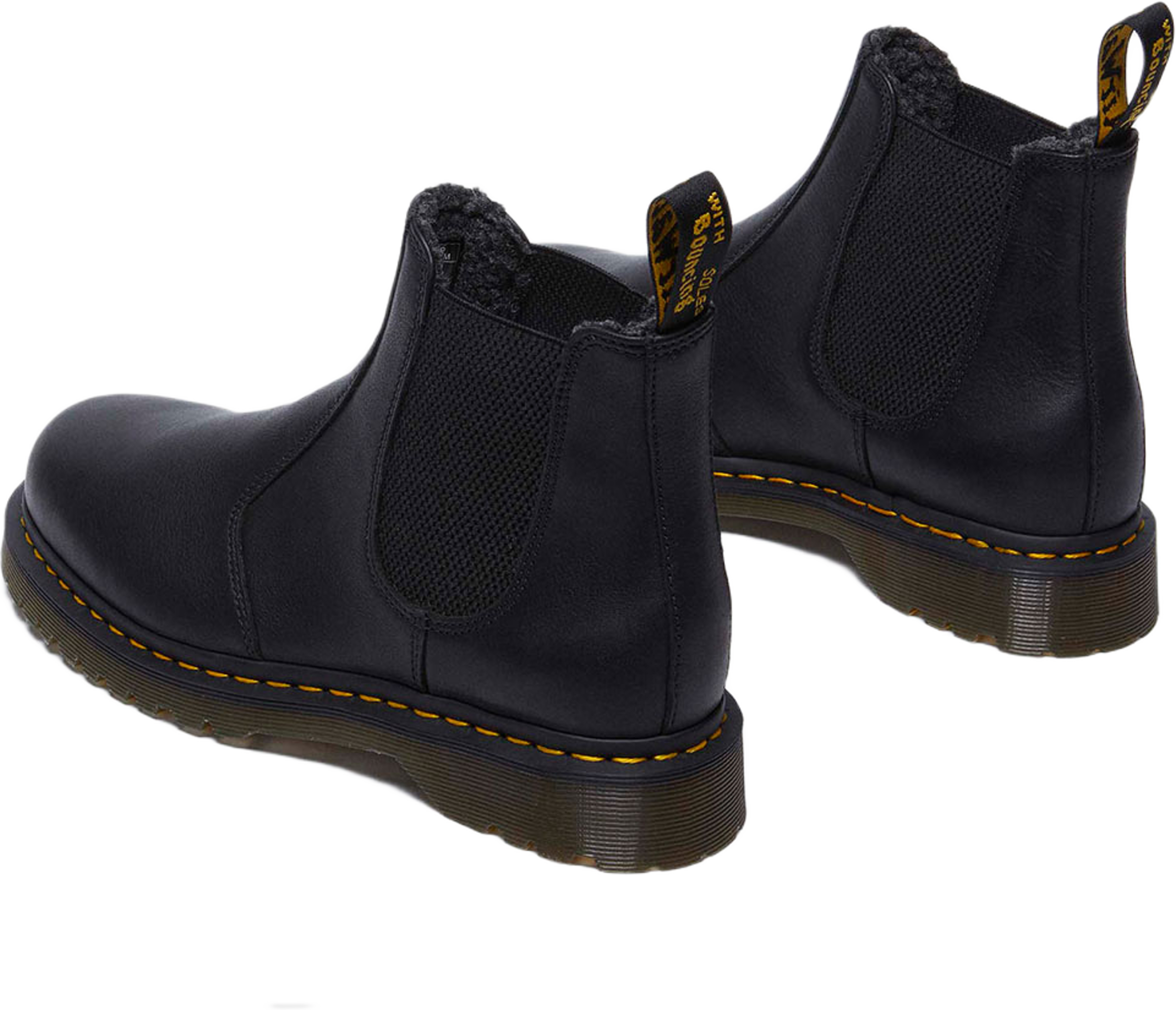 2976 Black Grizzly