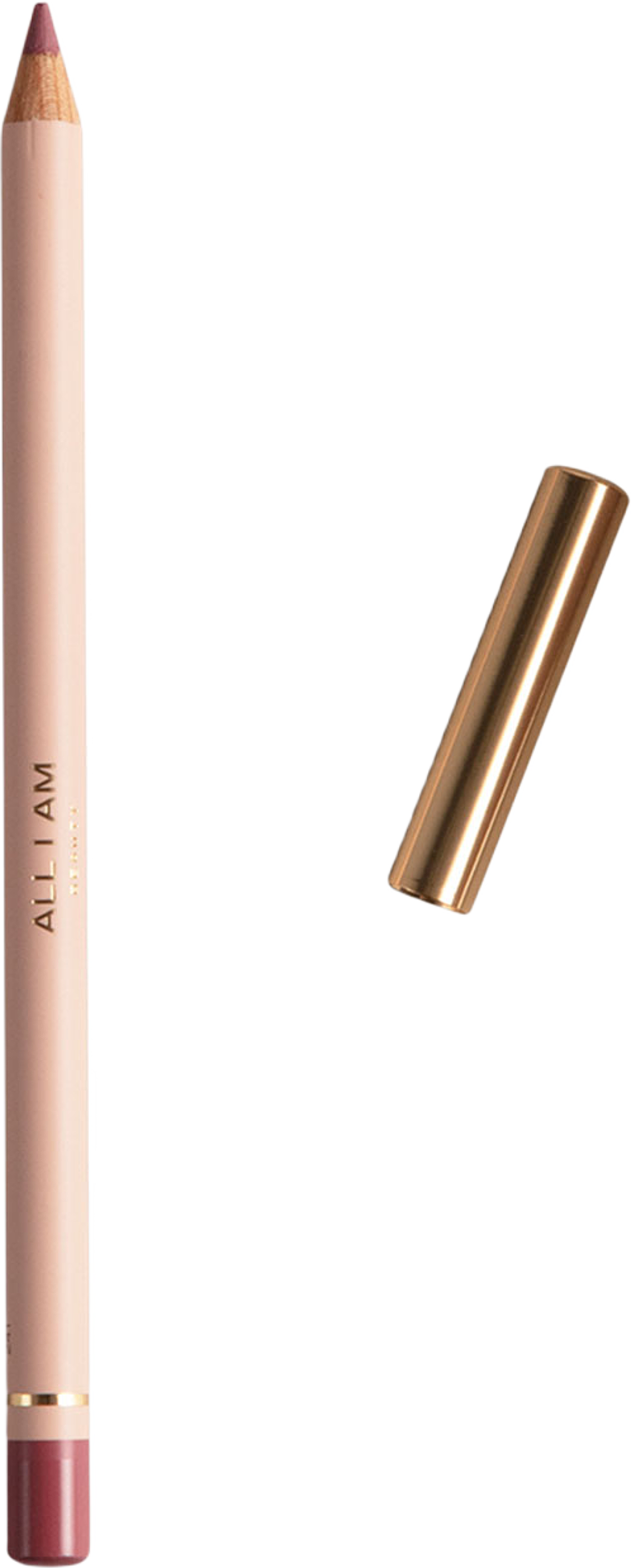 The Perfect Lip Pencil