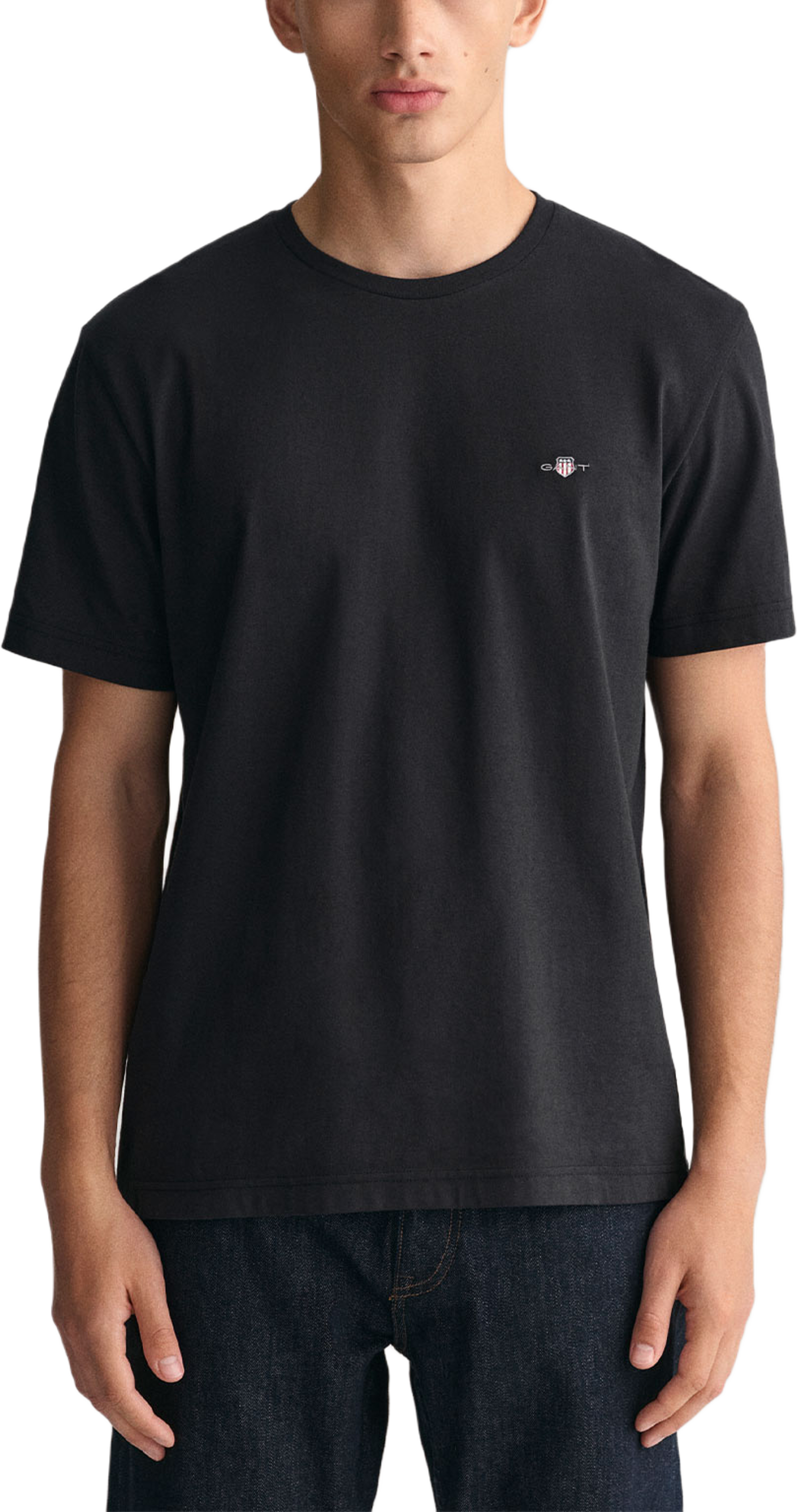 Regular Fit Shield T-Shirt