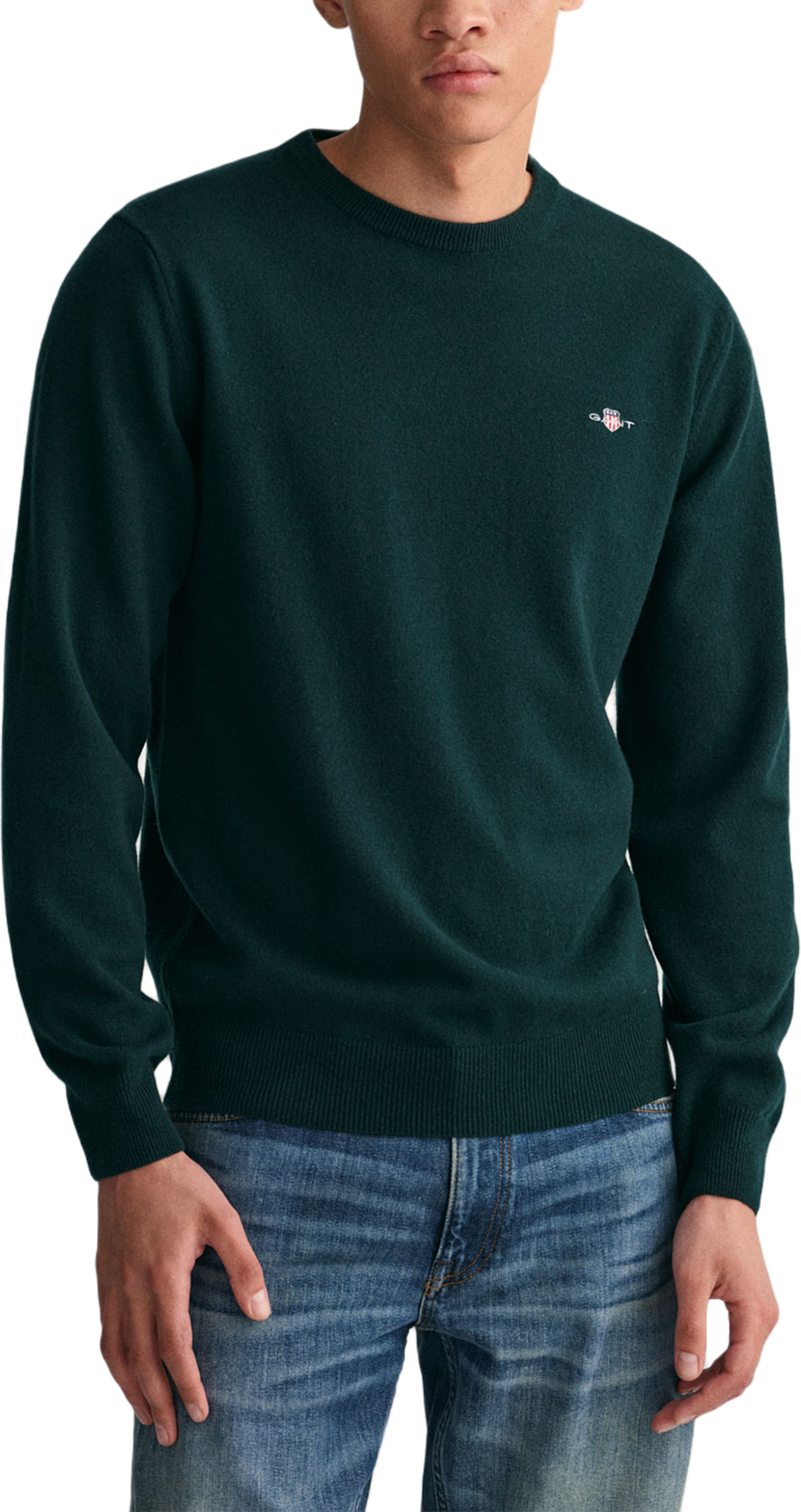 Superfine Lambswool Crew Neck Sweater