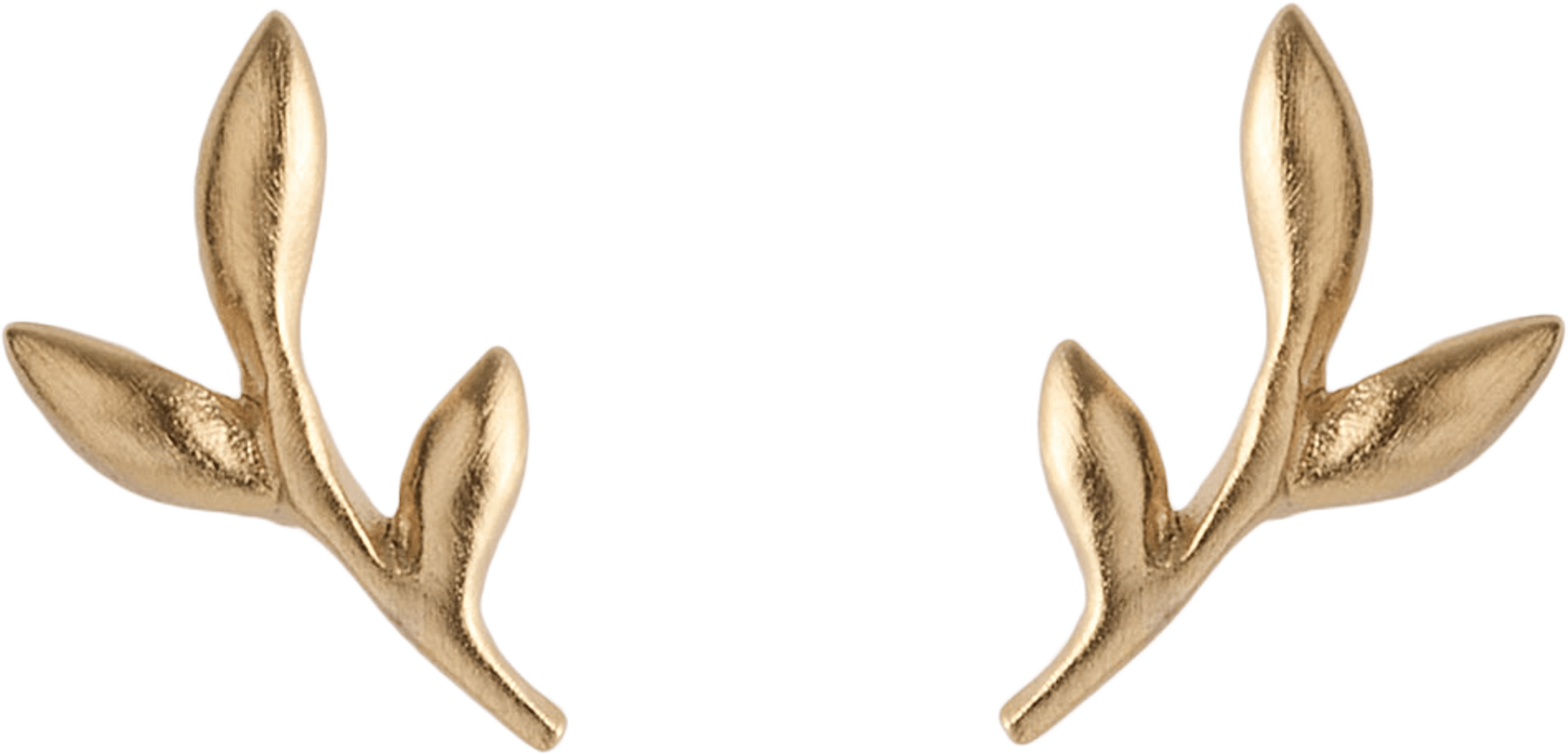 Crisp Earrings