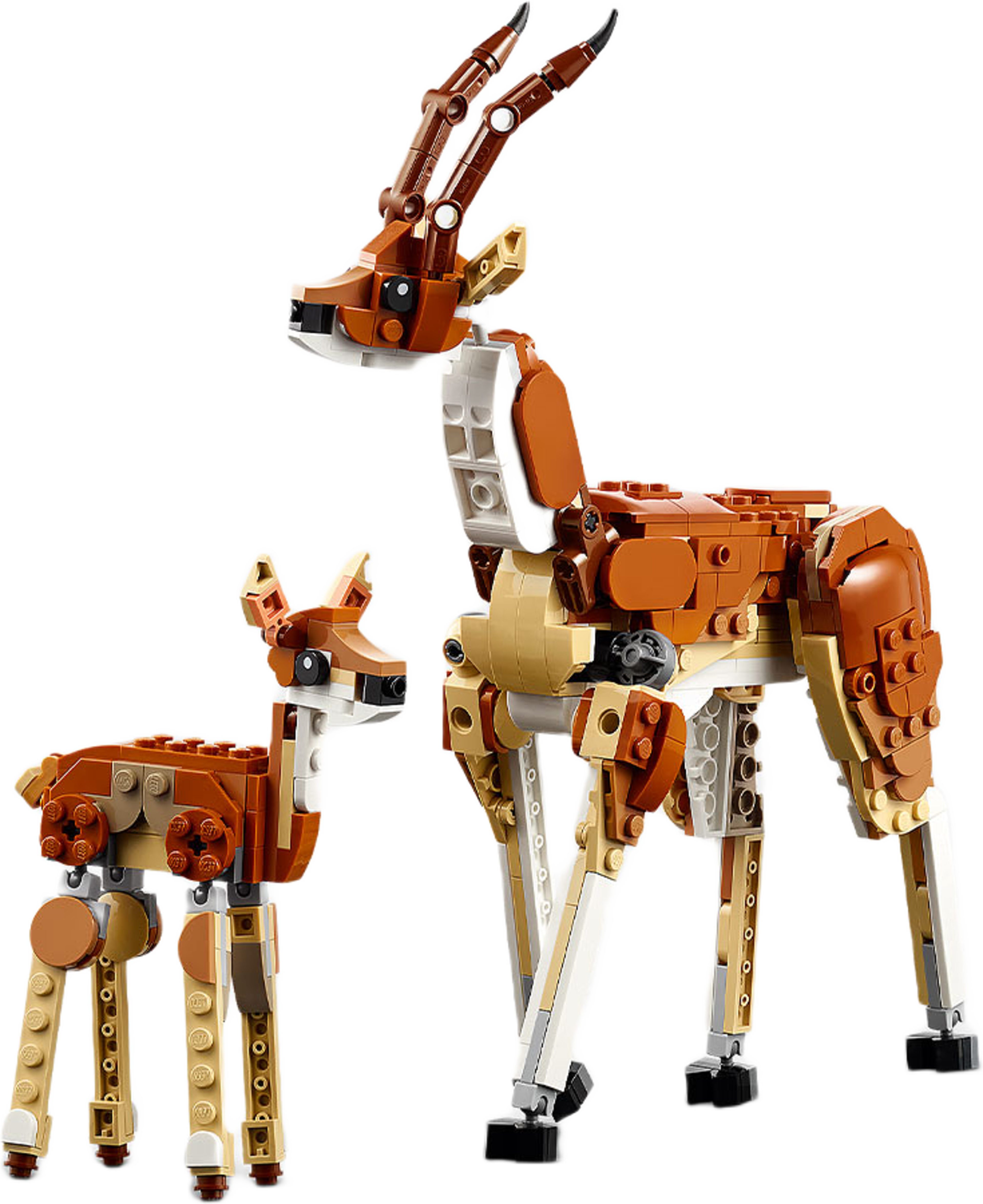 Vilda safaridjur 3-i-1-set 31150