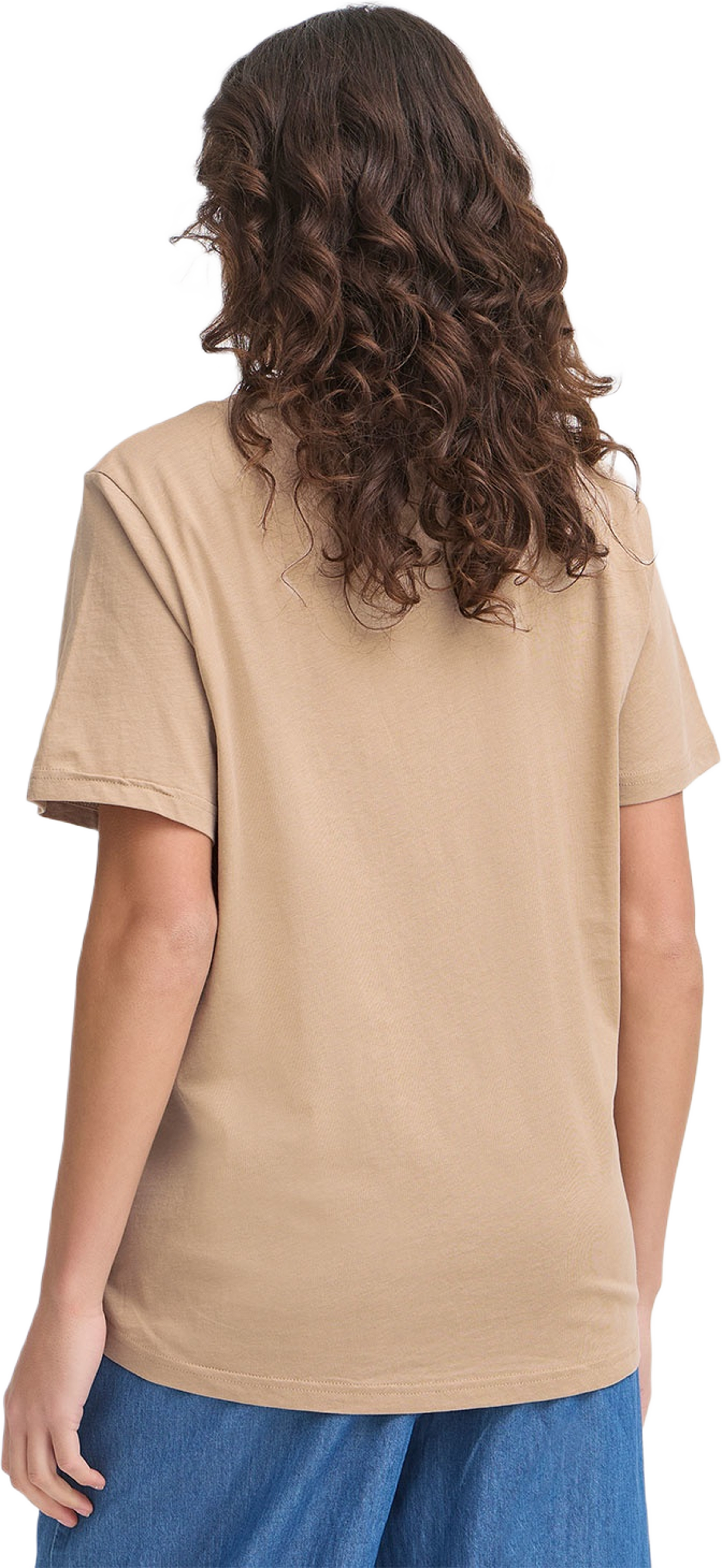 FRJUNA TEE 2 T-shirt, från Fransa, i färgen Silver Mink Mix. Klicka för att öppna bilden i stort format