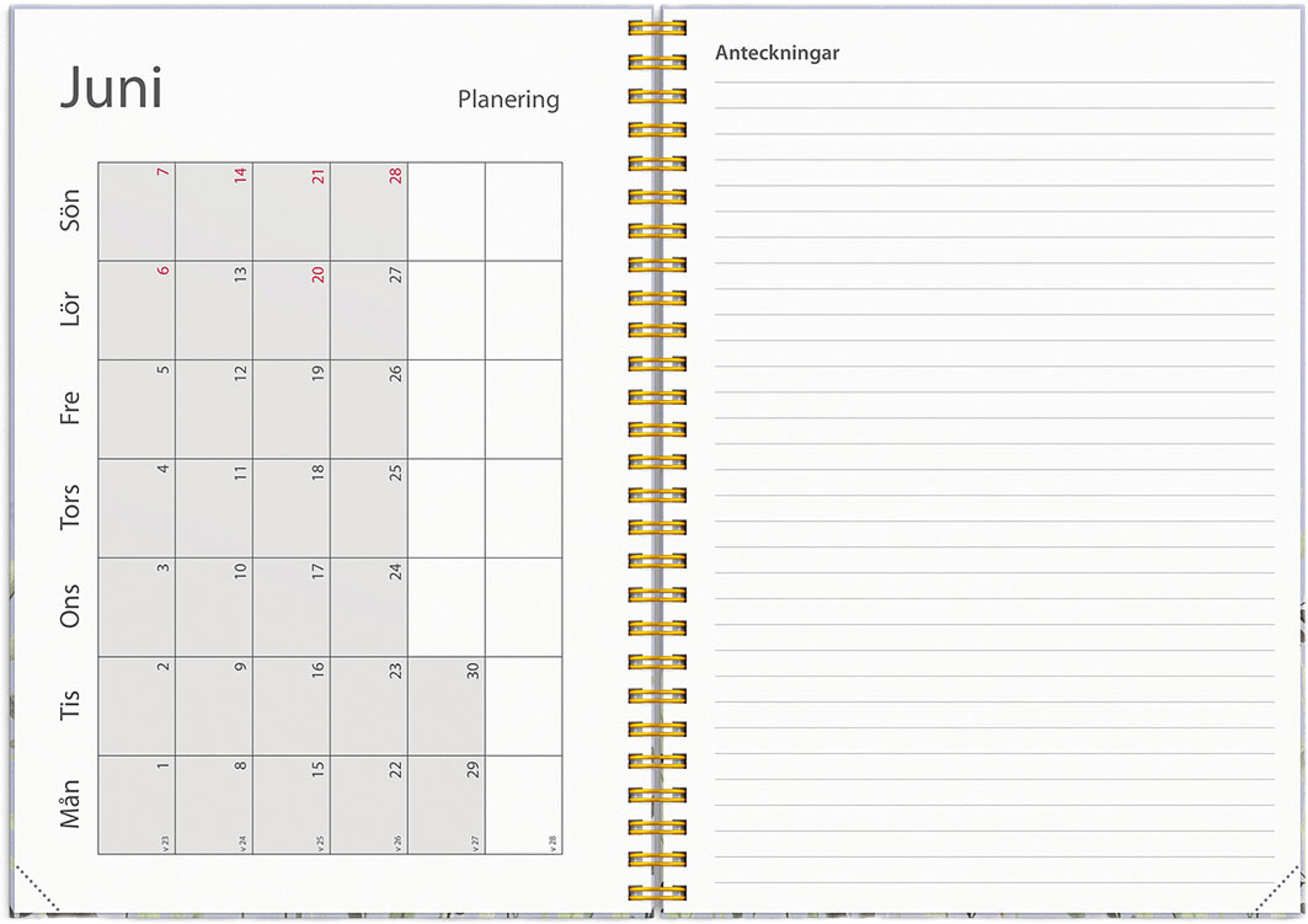 Kalender 25/26 Study A5 Story Äng