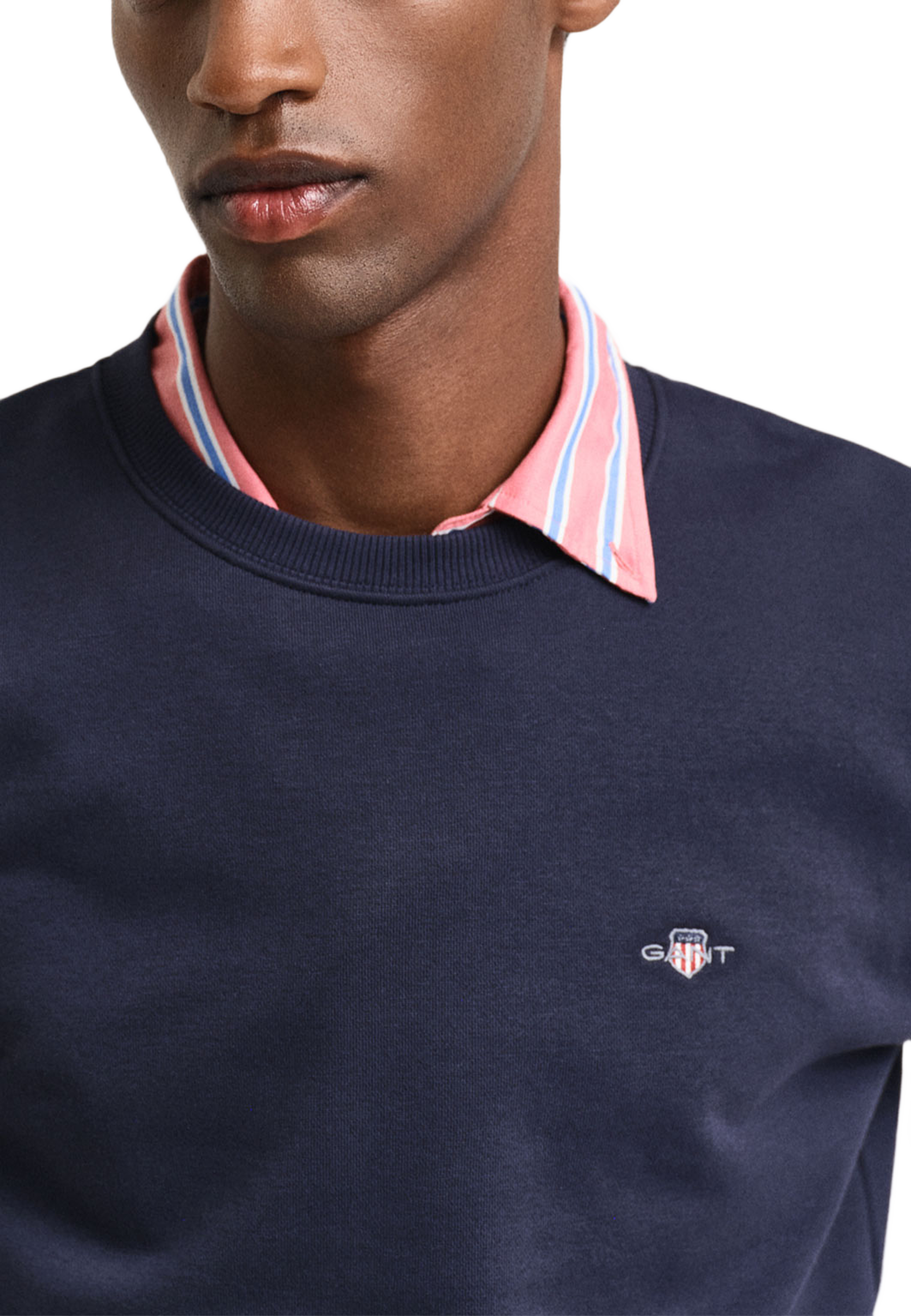 Shield Crew Neck Sweatshirt