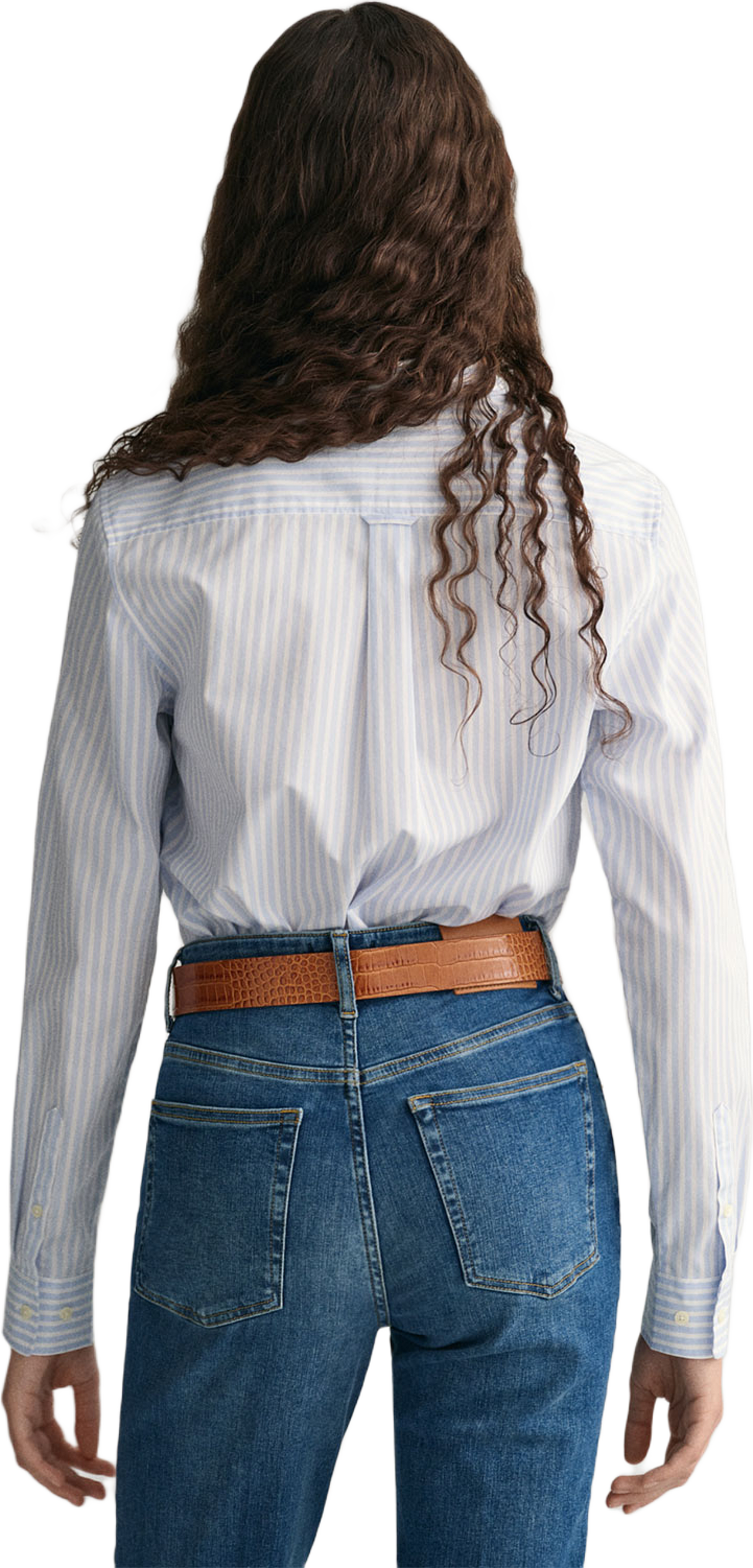 Regular Fit Striped Poplin Shirt