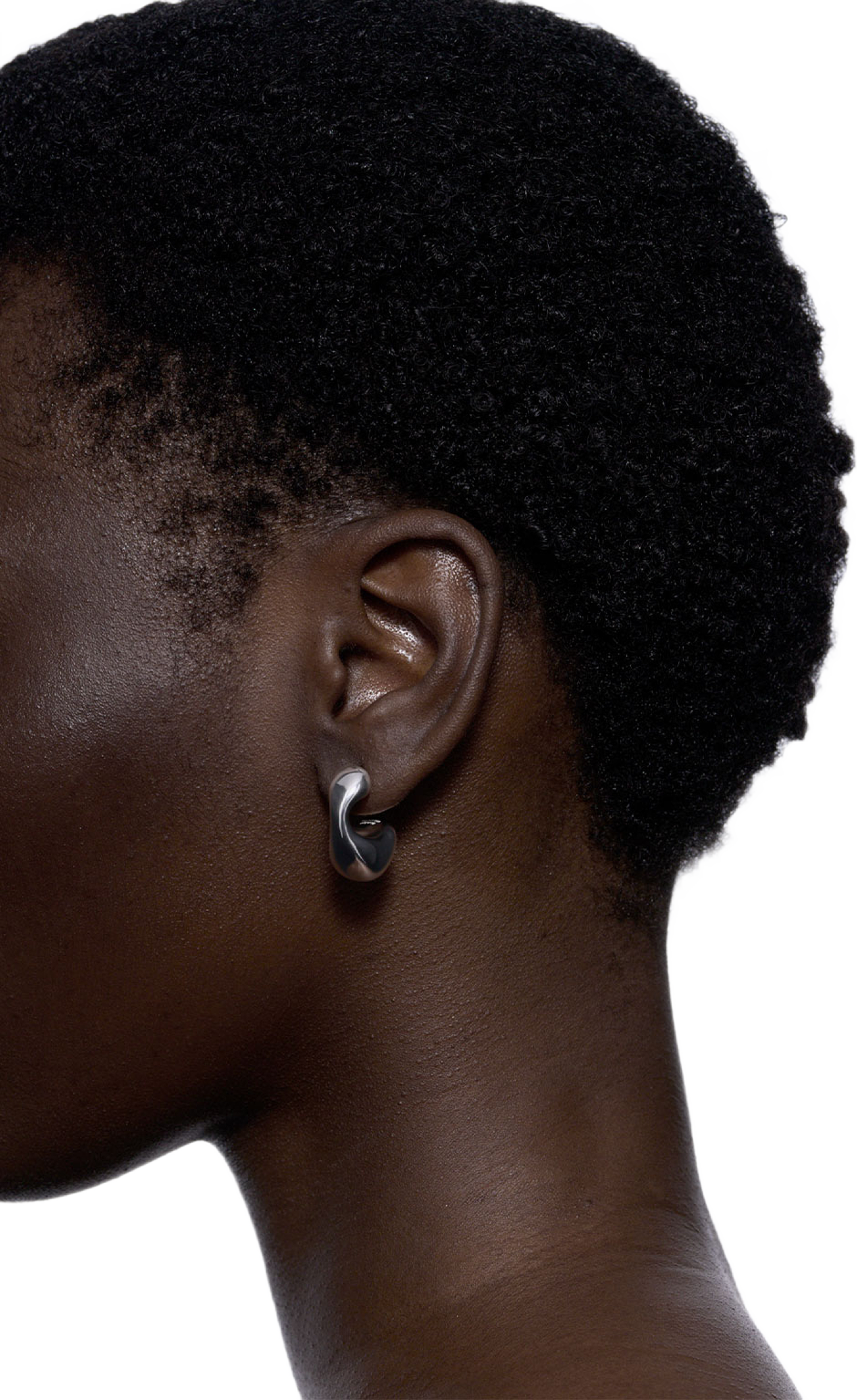 Dolphin Earring Small