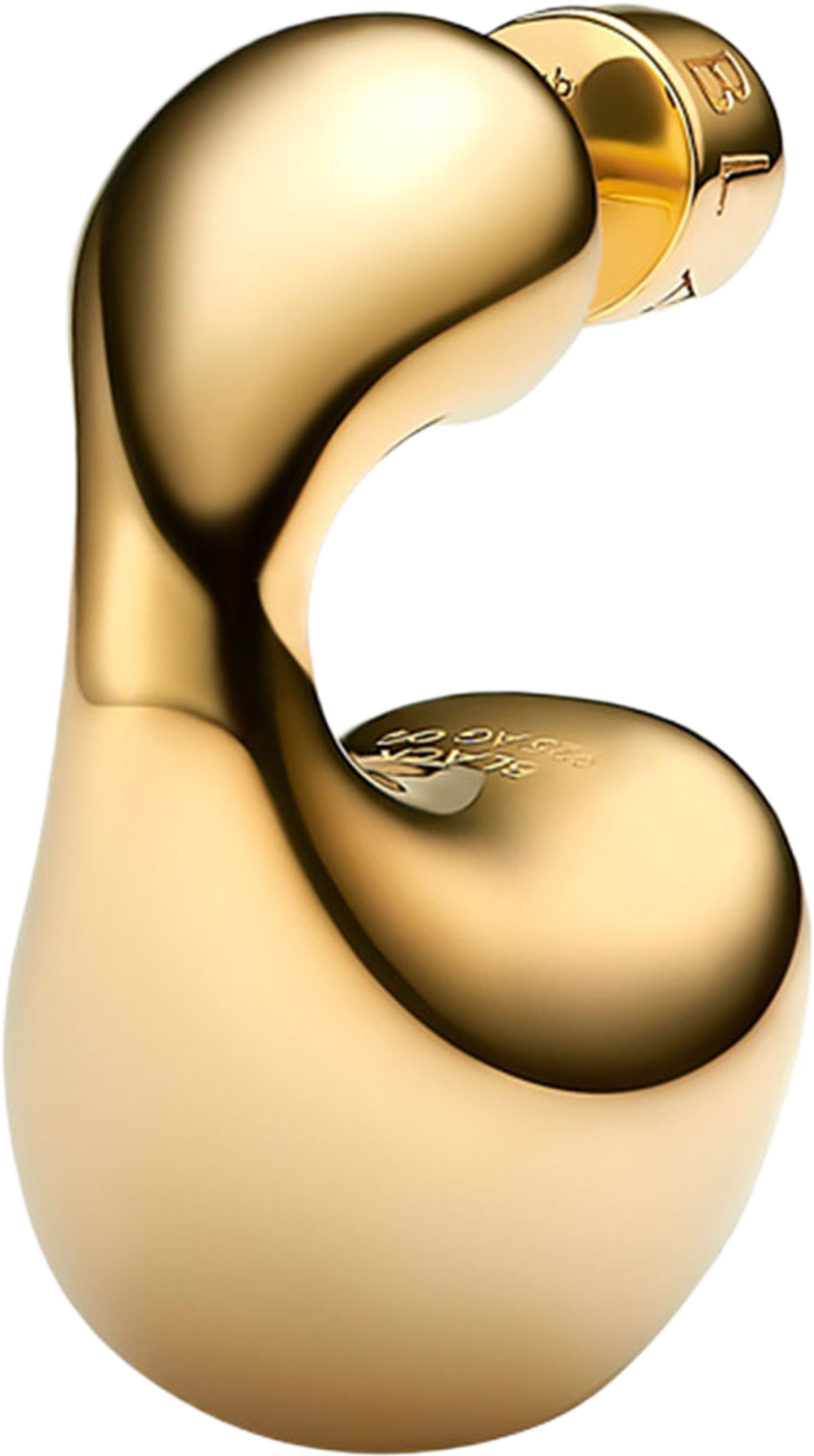 Dolphin Earring Small