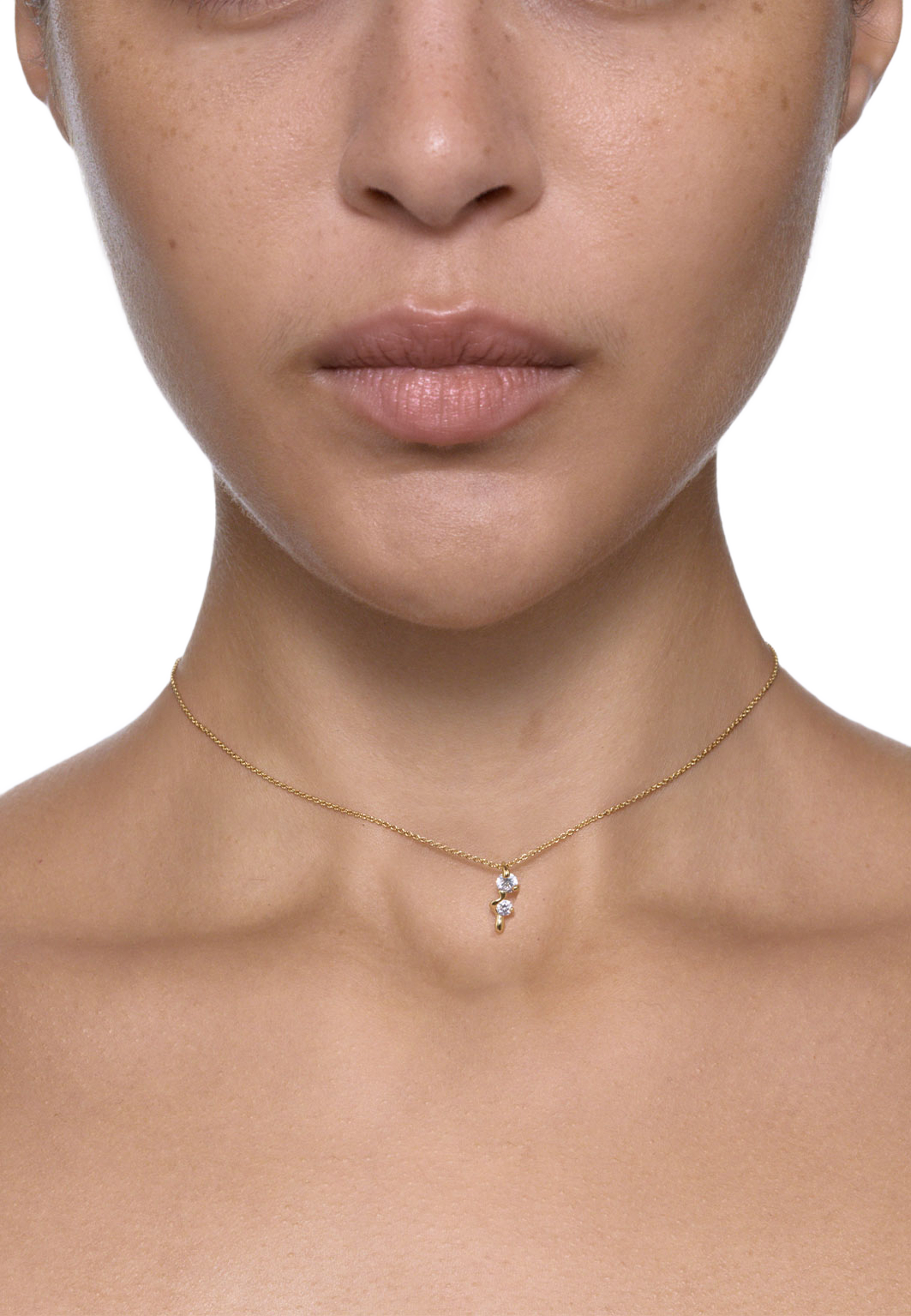 Arctic Necklace