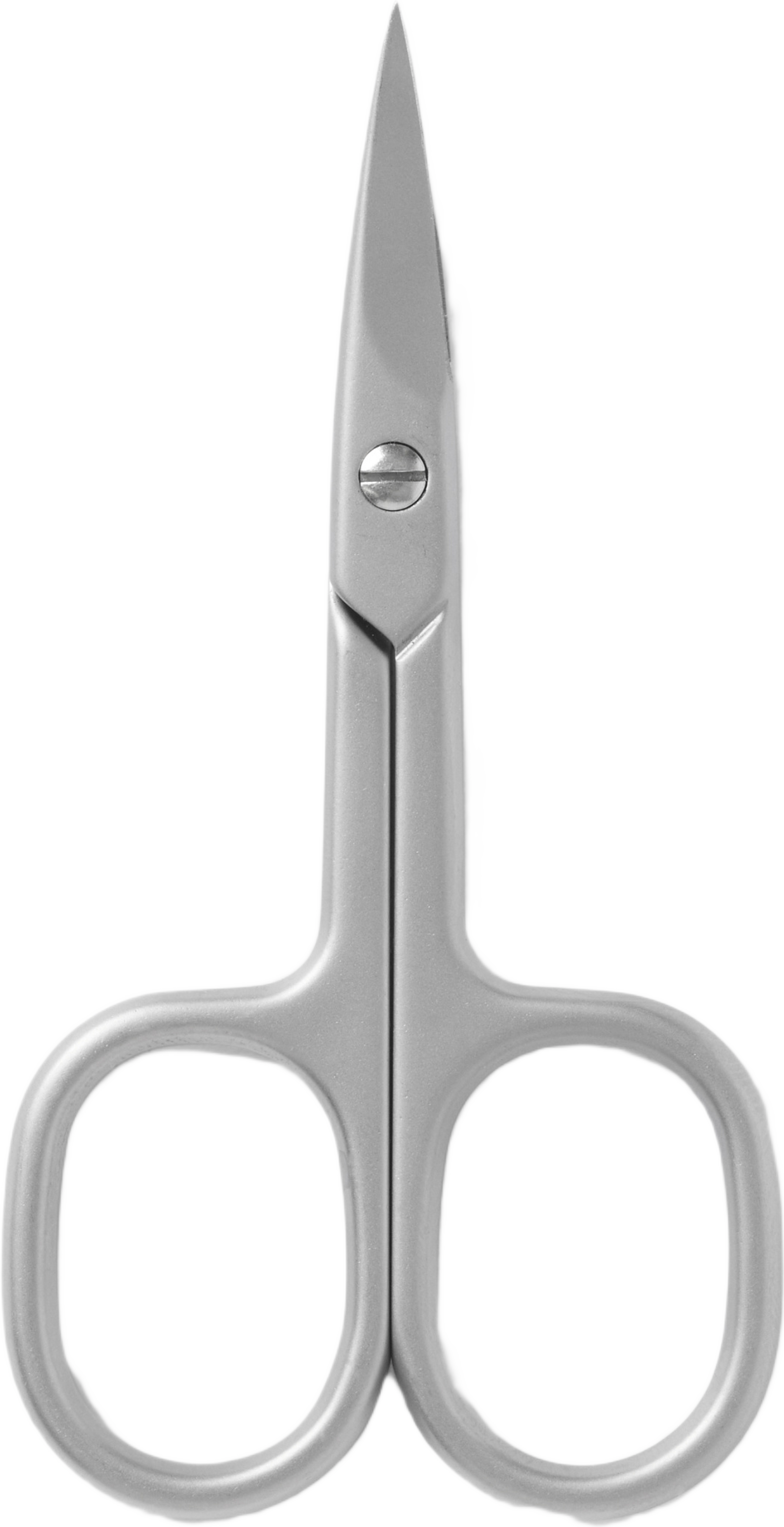 Nagelsax