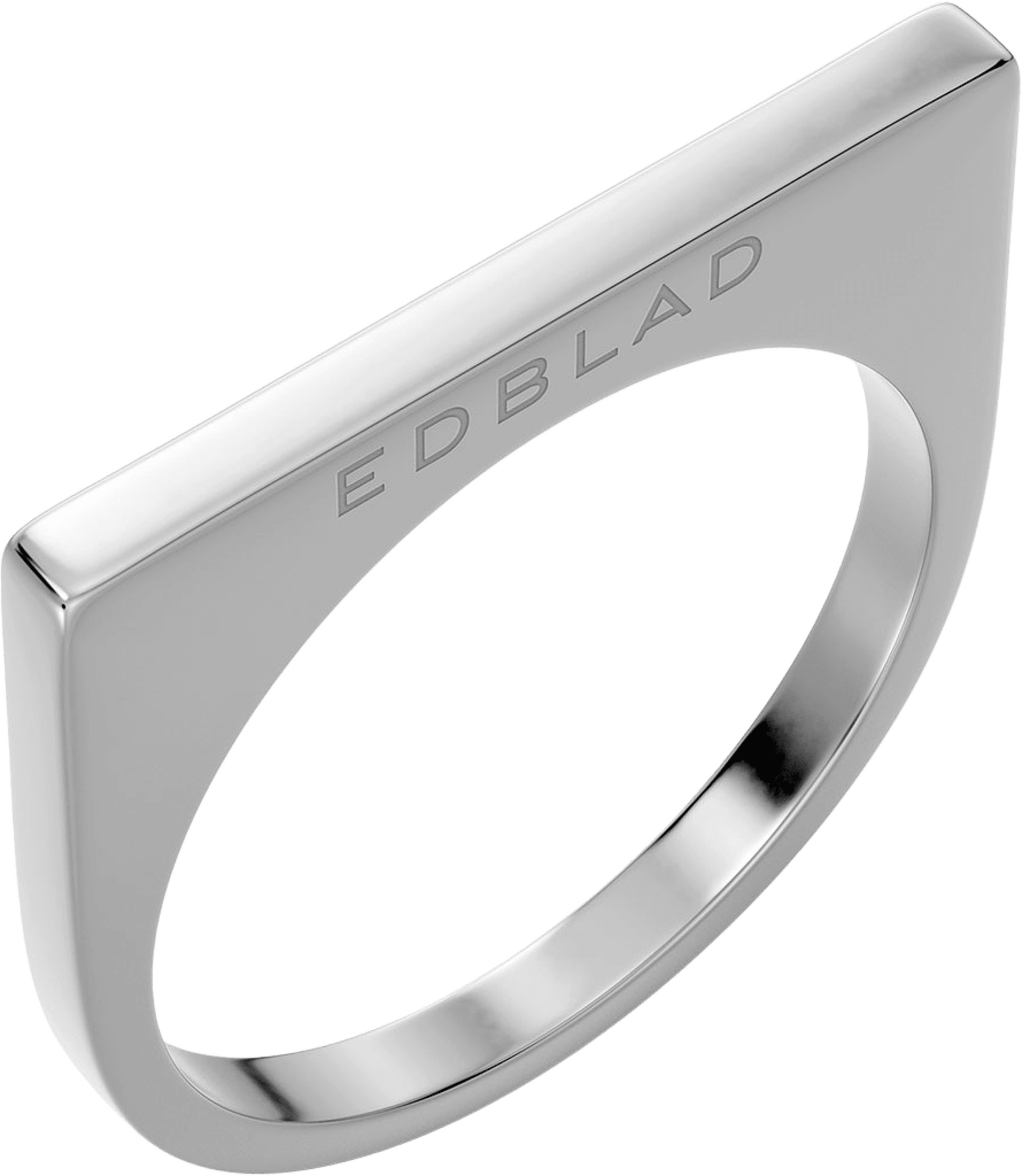 Twiggy Ring Steel