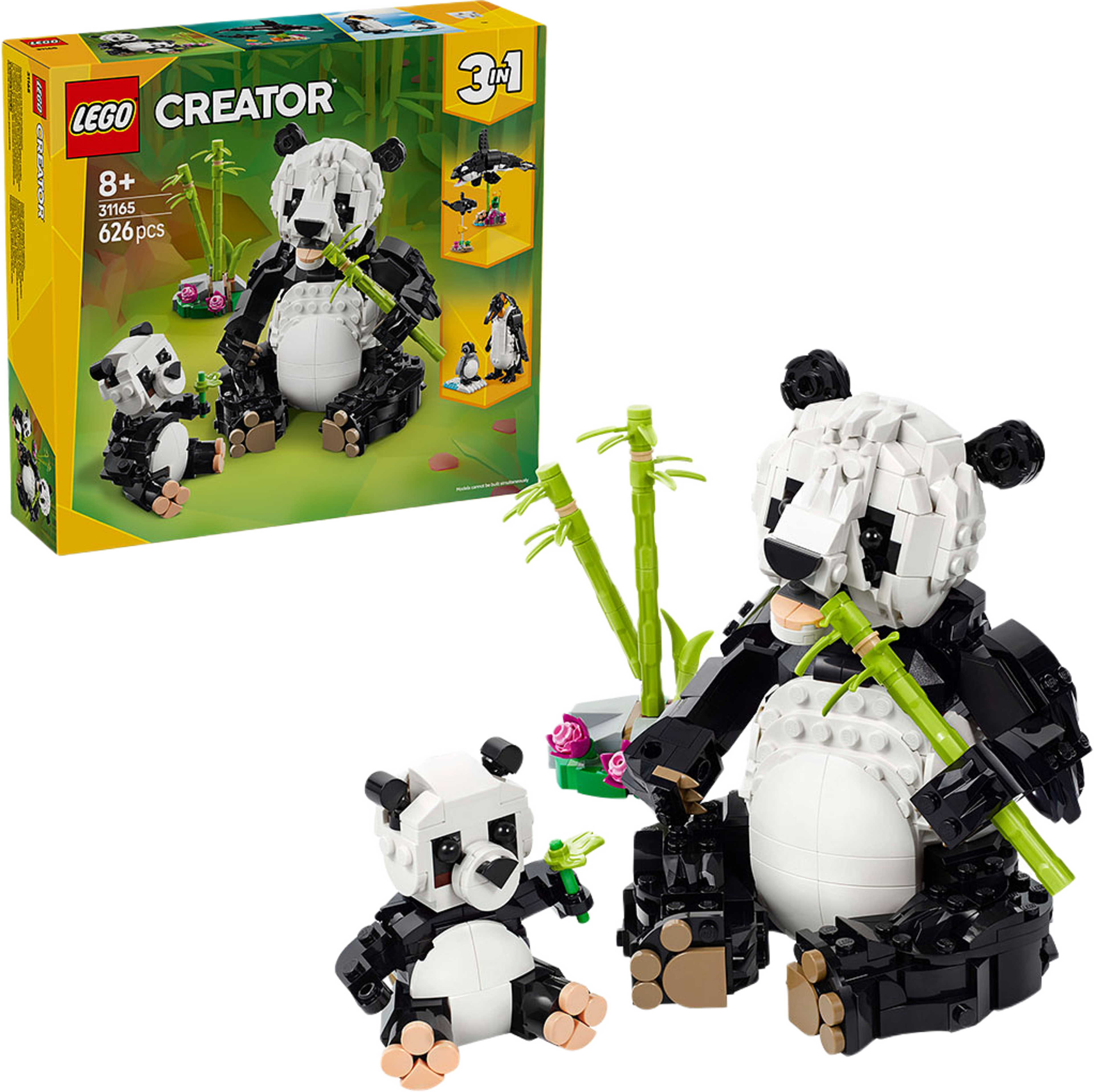 Vilda djur: pandafamilj