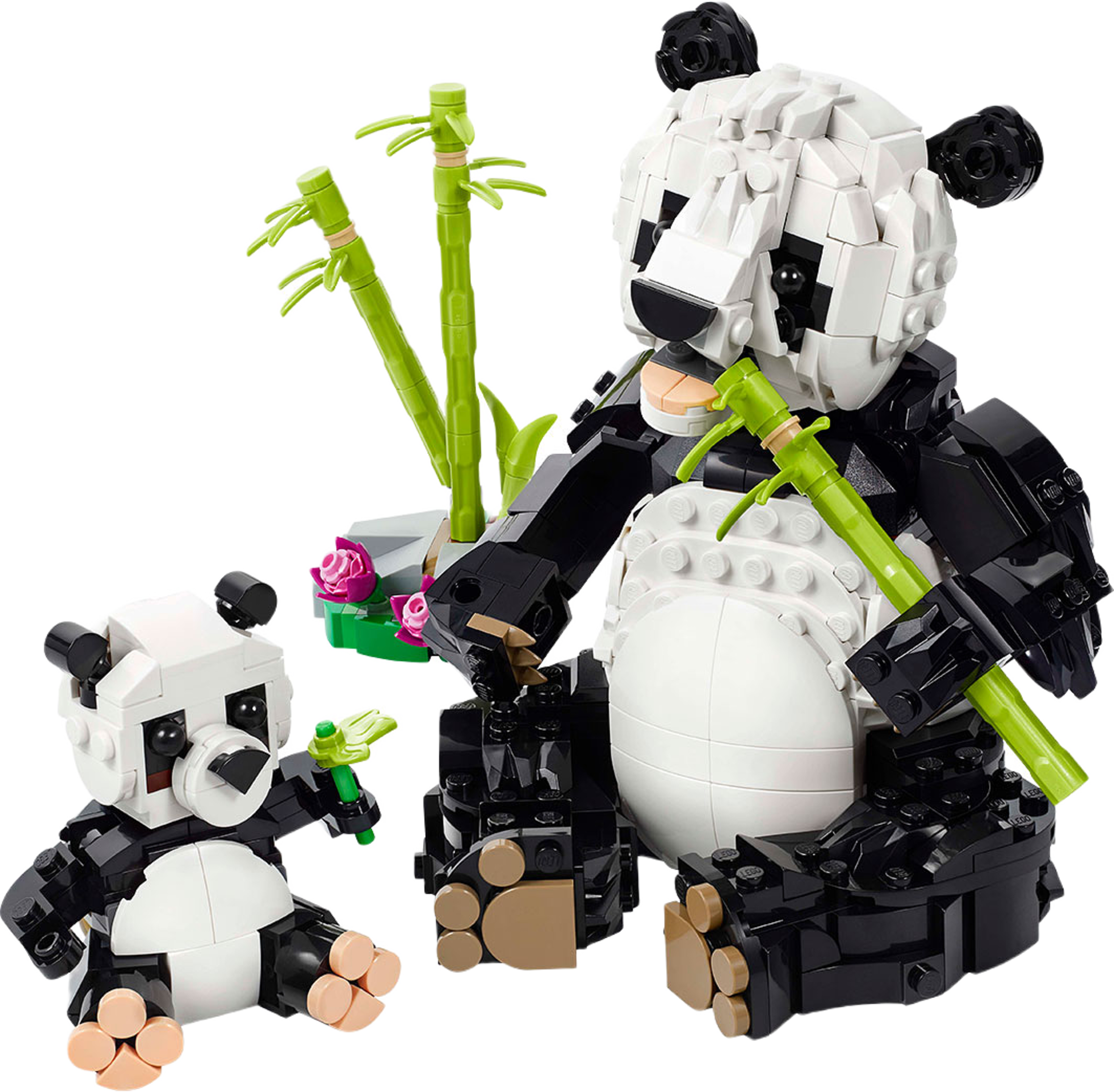 Vilda djur: pandafamilj