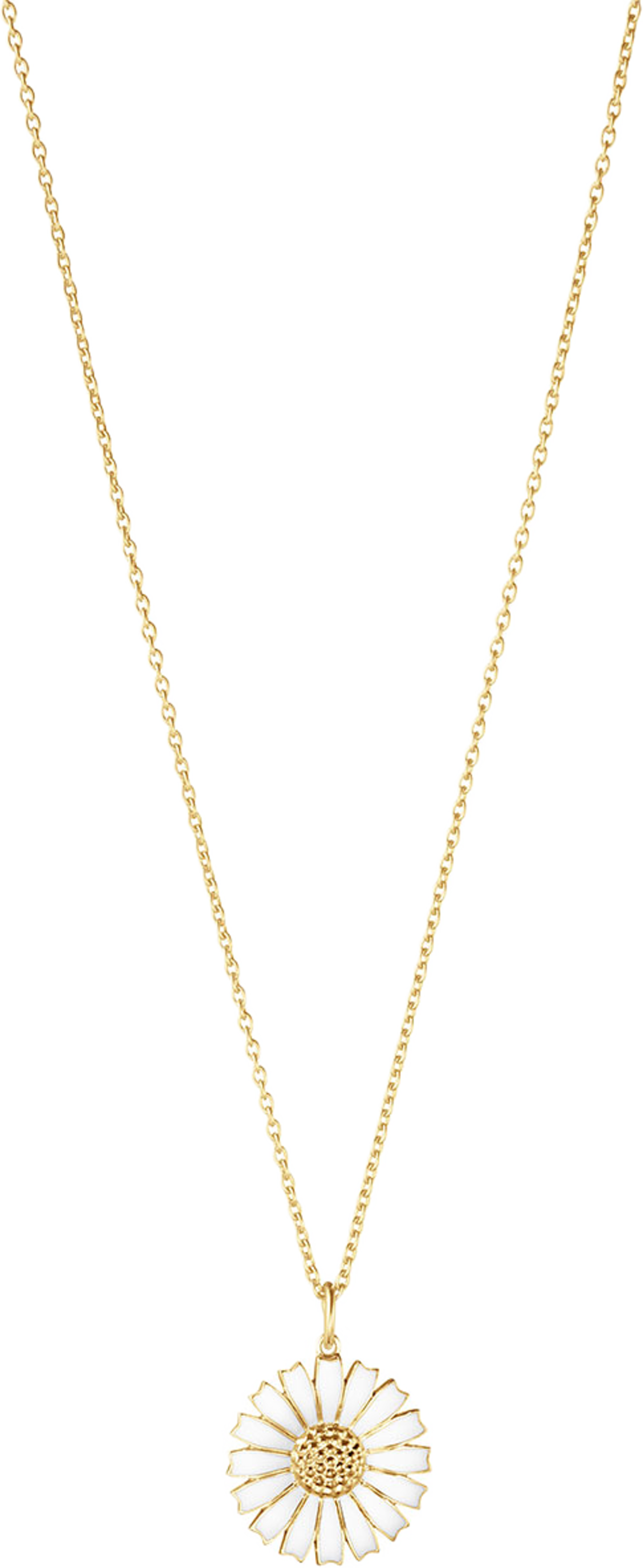 DAISY halsband