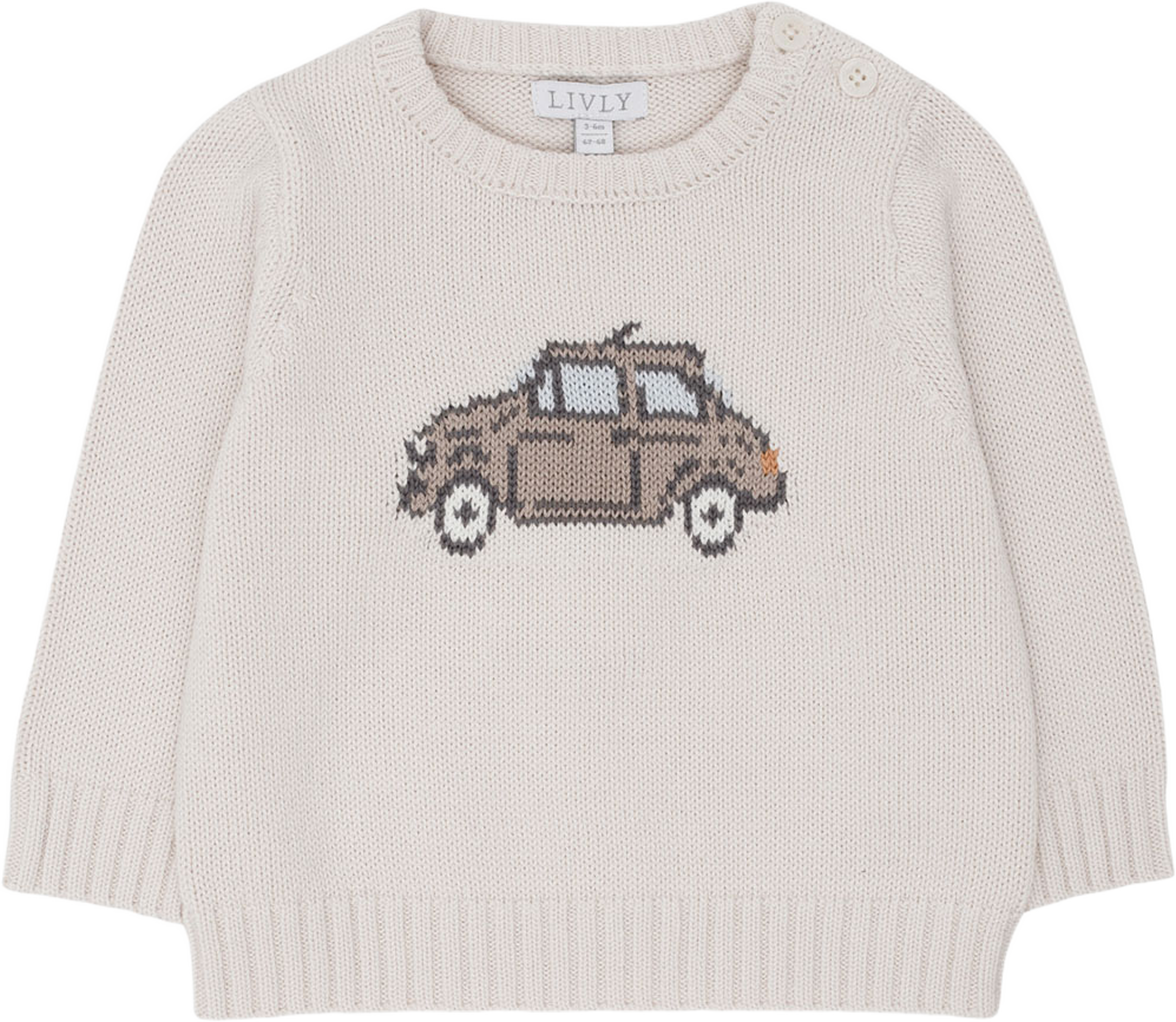 Levi Jumper