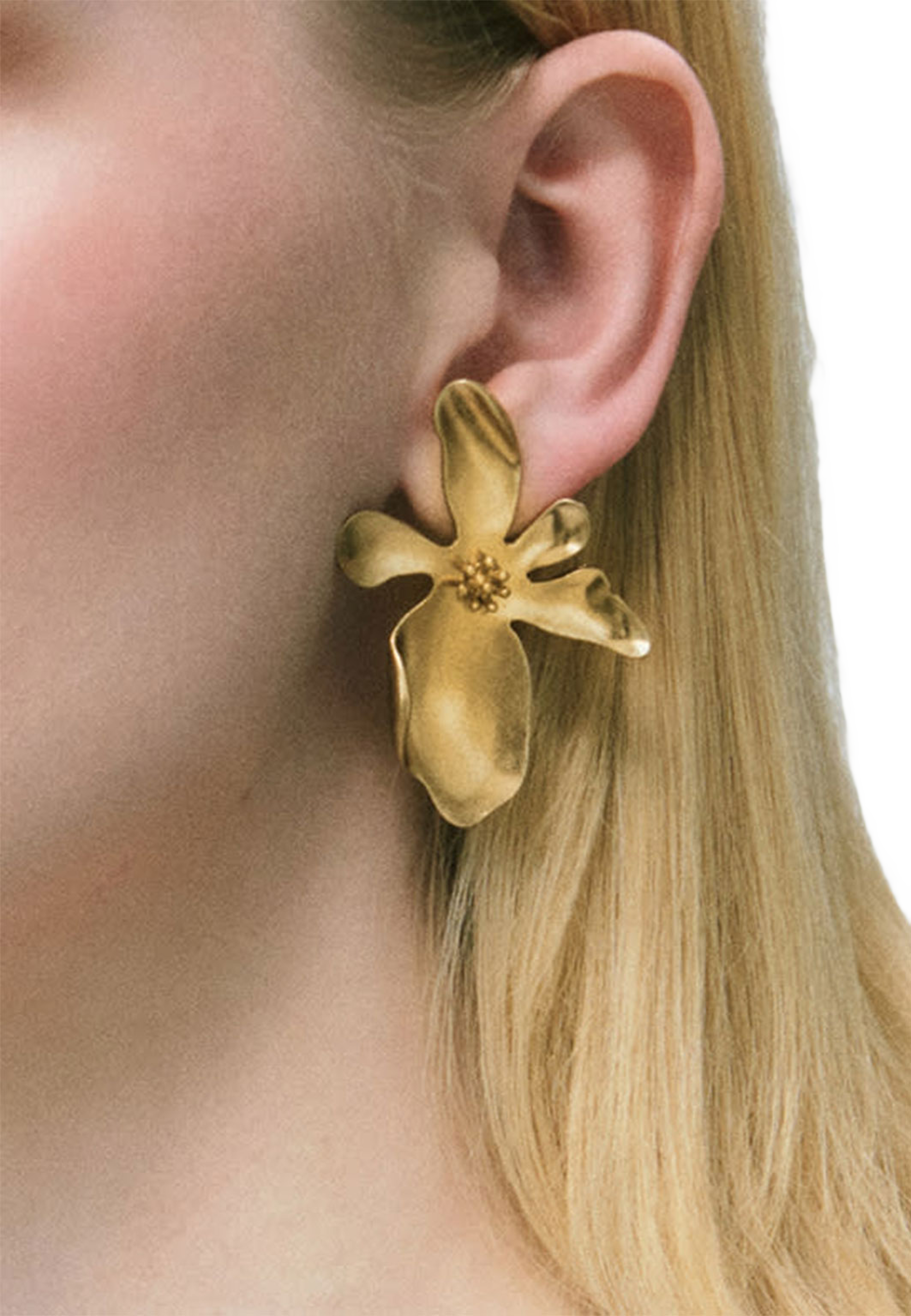 Daisy lu Earrings