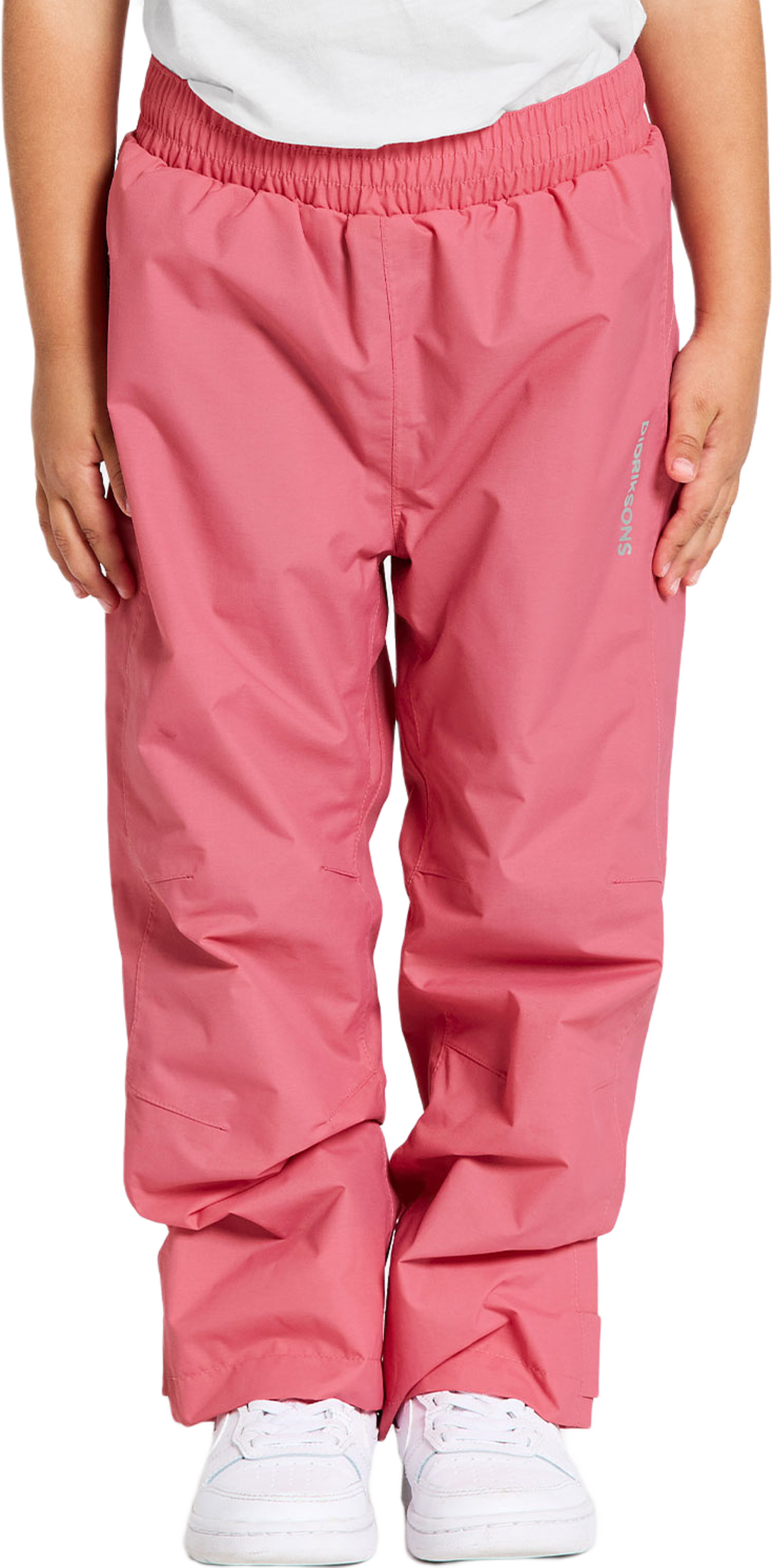 Avan Pant
