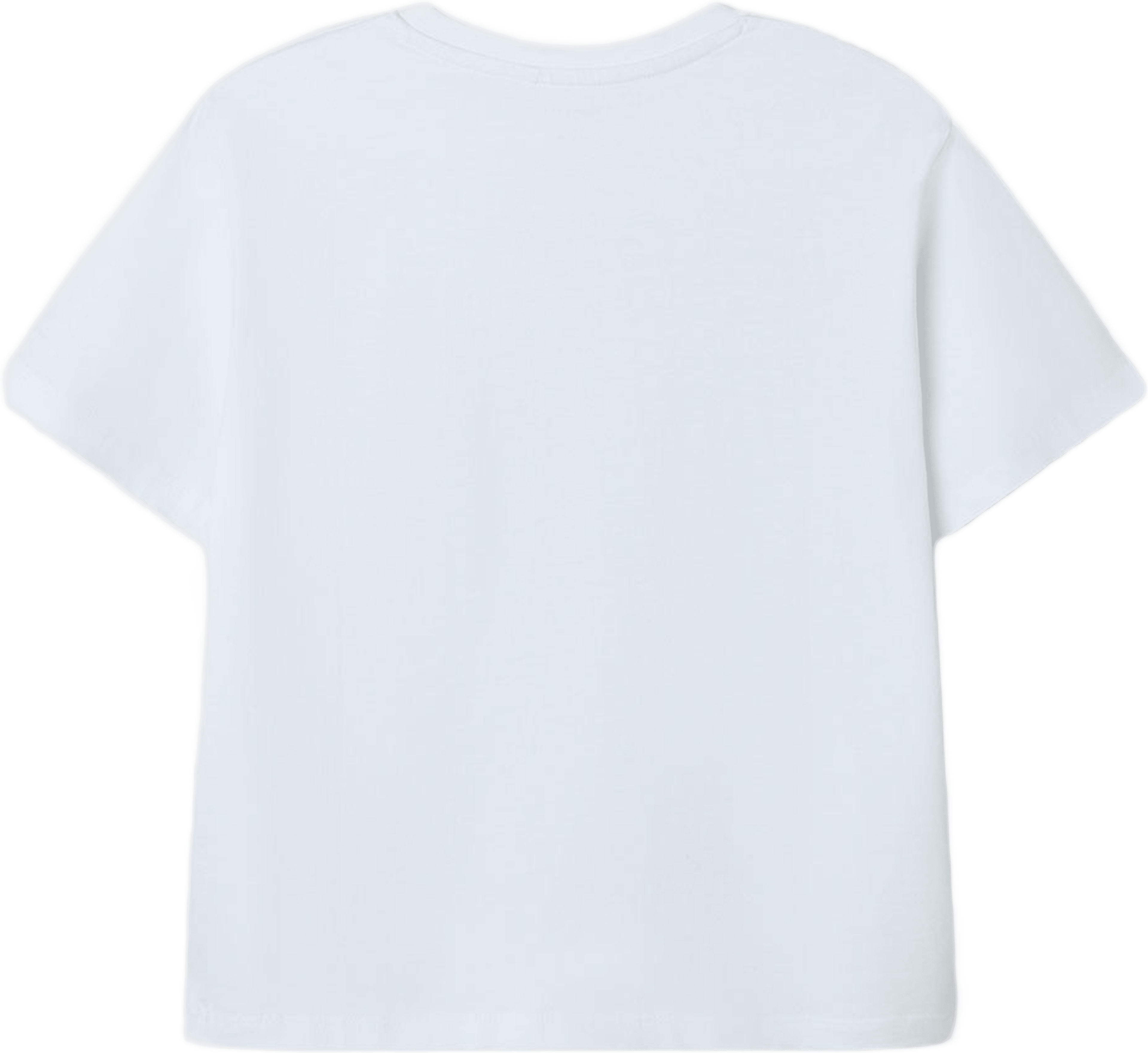 T-shirt Minecraft
