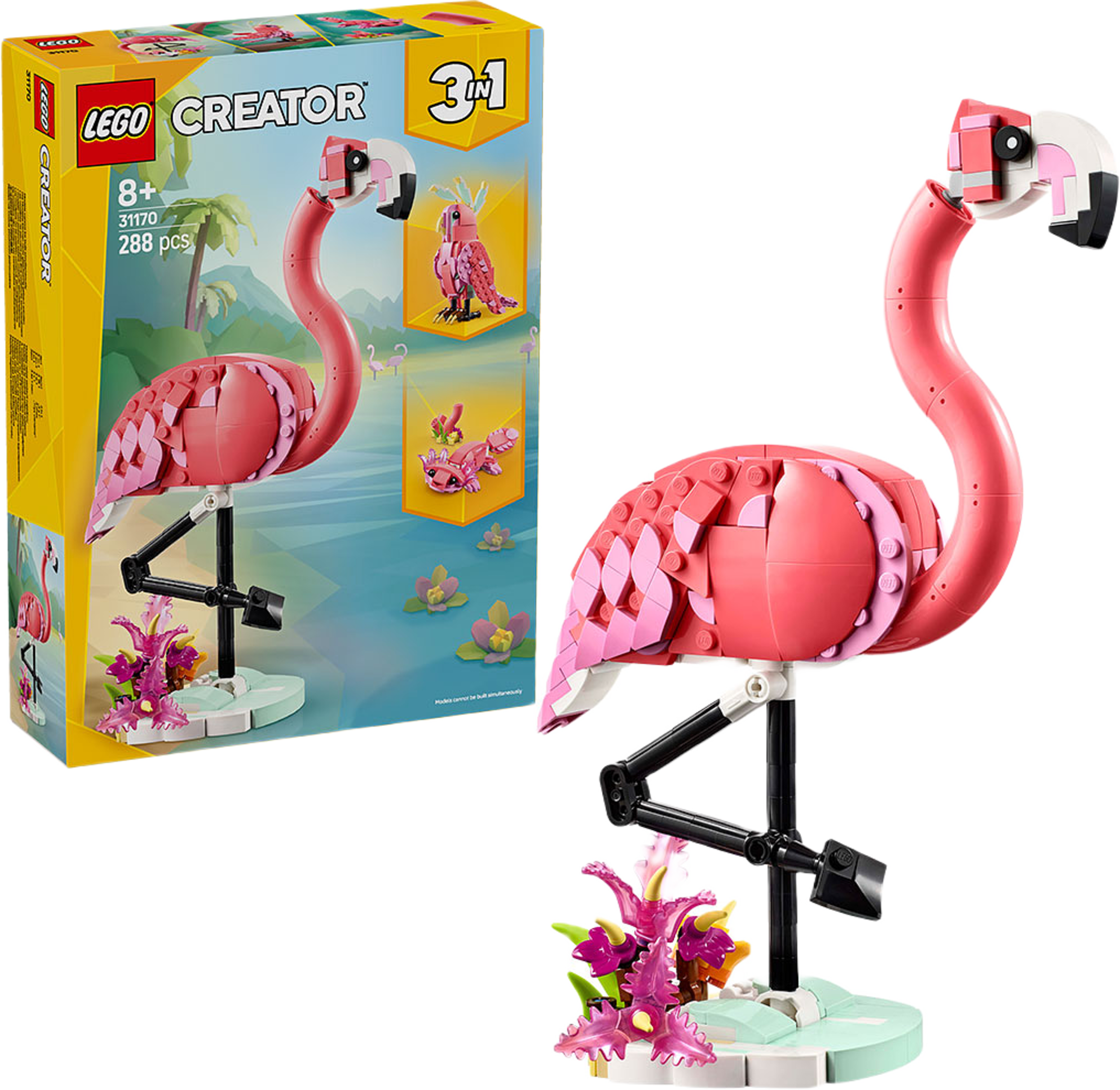 Vilda djur: Rosa flamingo