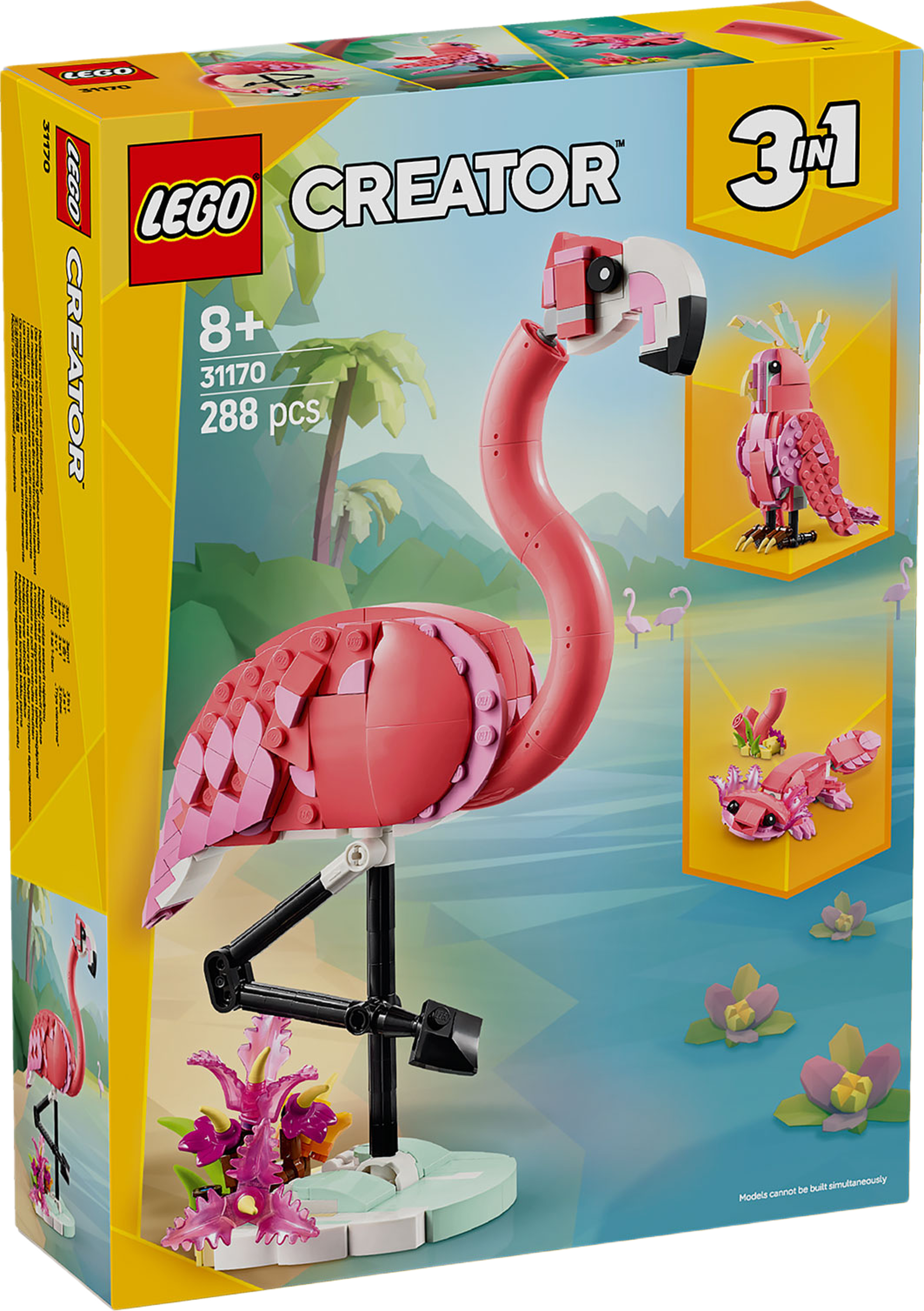 Vilda djur: Rosa flamingo
