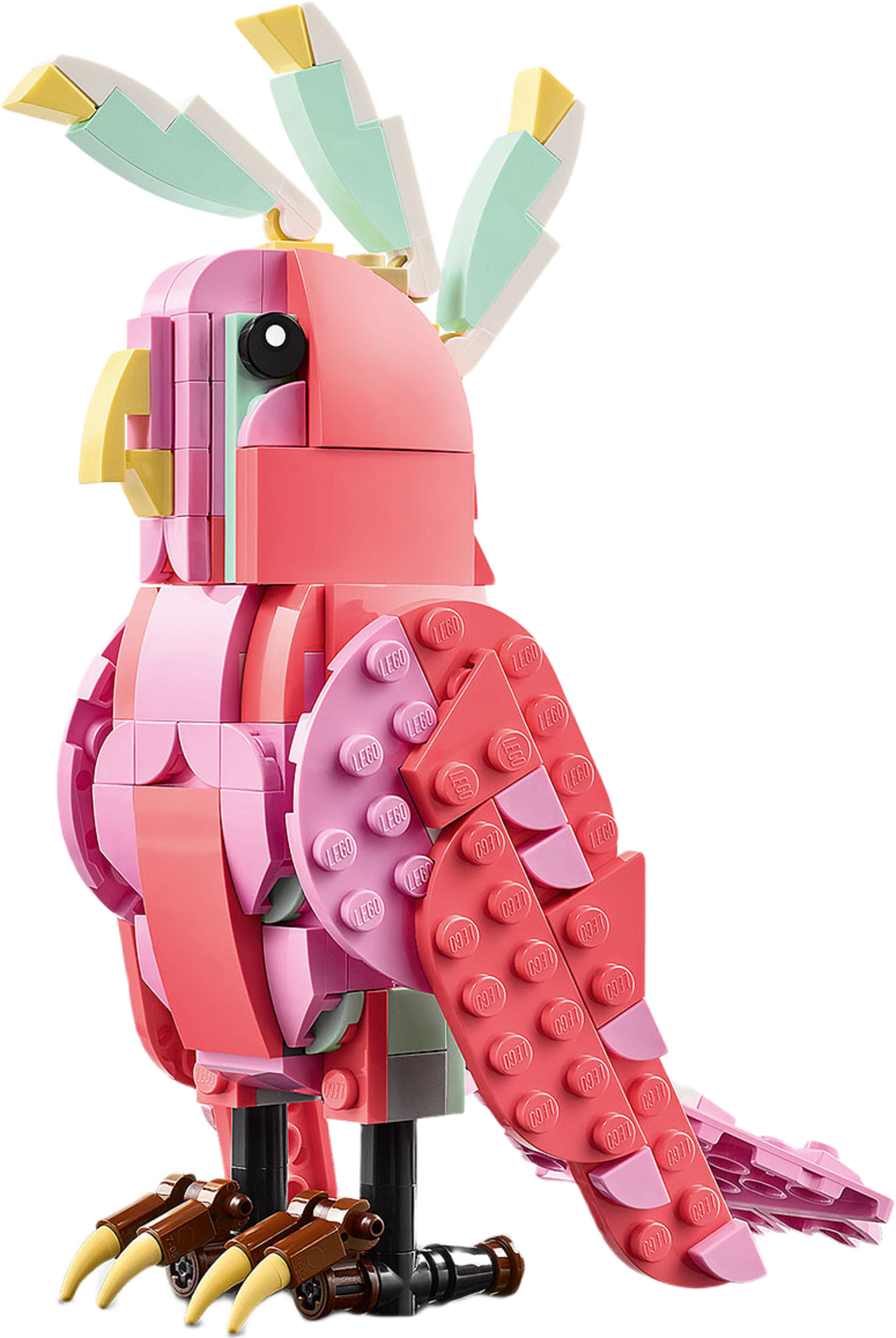 Vilda djur: Rosa flamingo