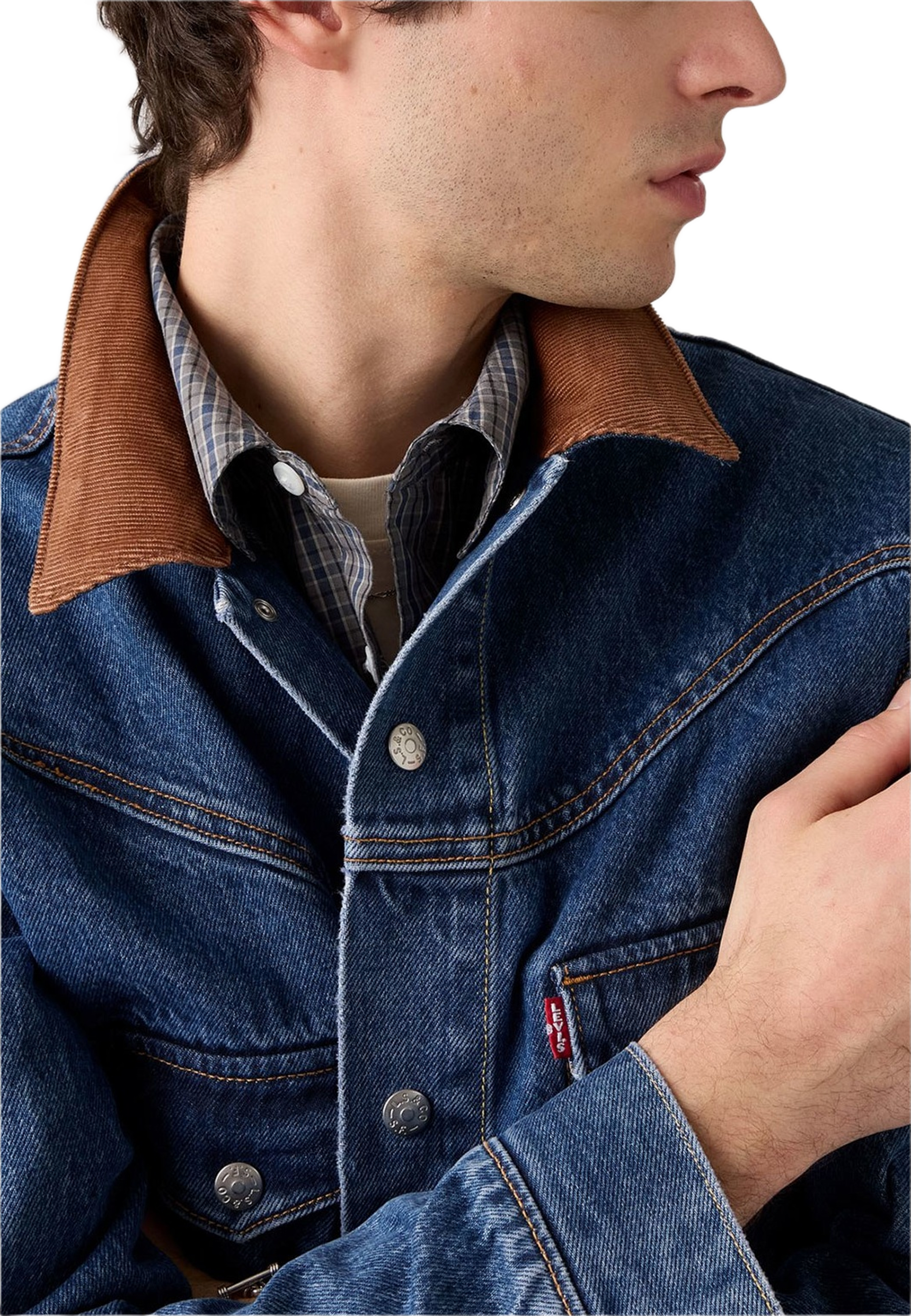 Western Shorthorn Trucker Jacket