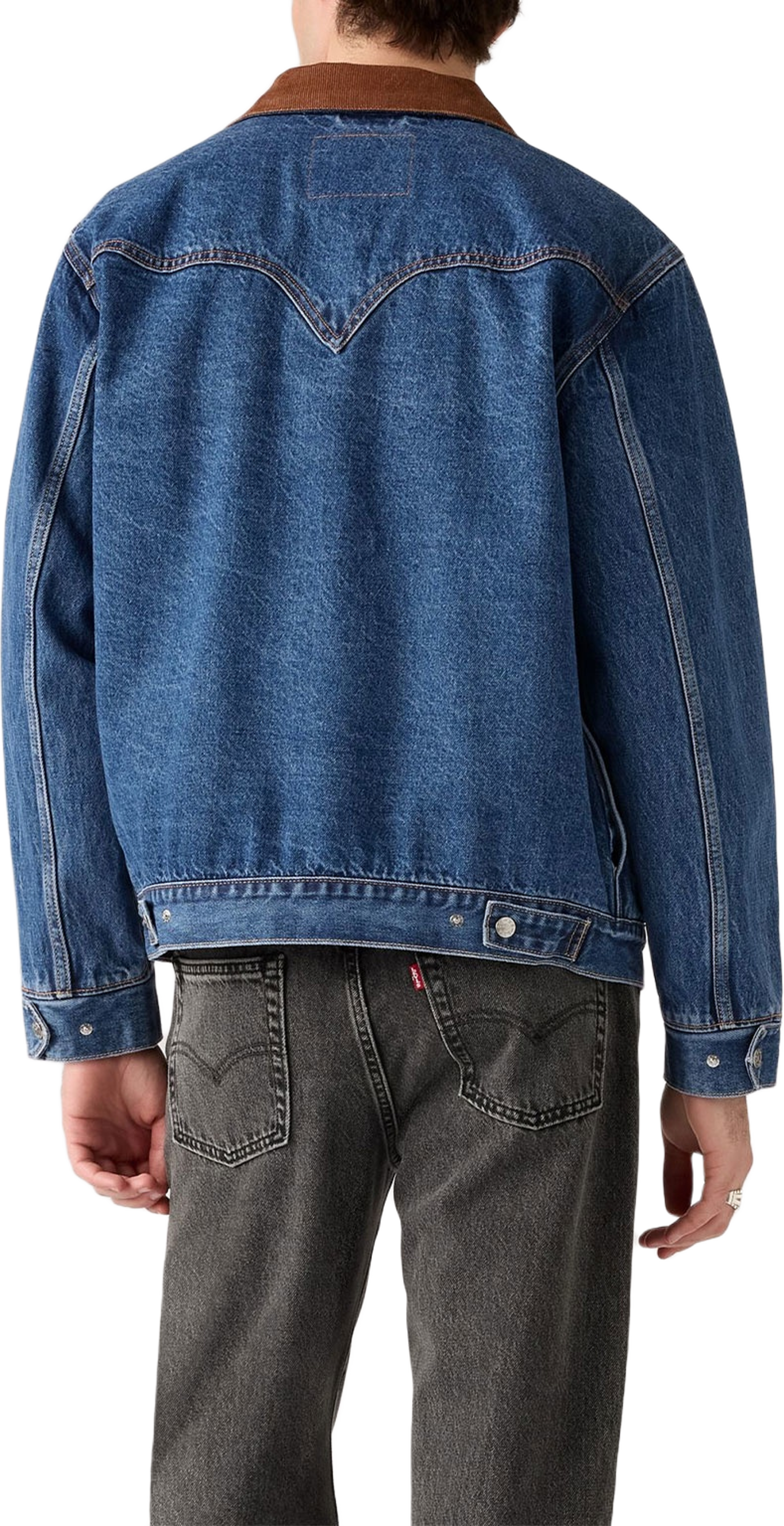Western Shorthorn Trucker Jacket