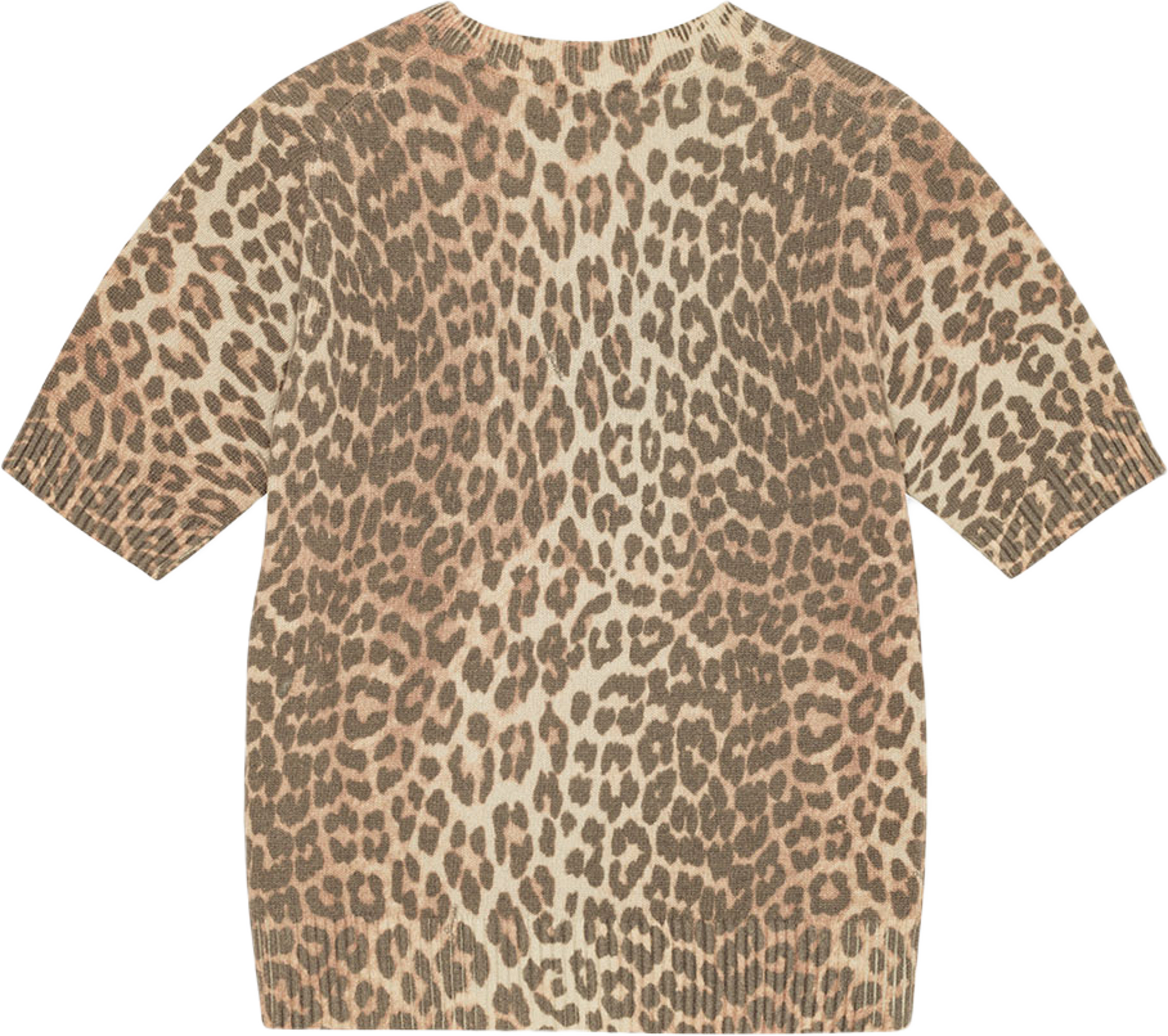Graphic Wool Mix Printed Leopard T-shirt