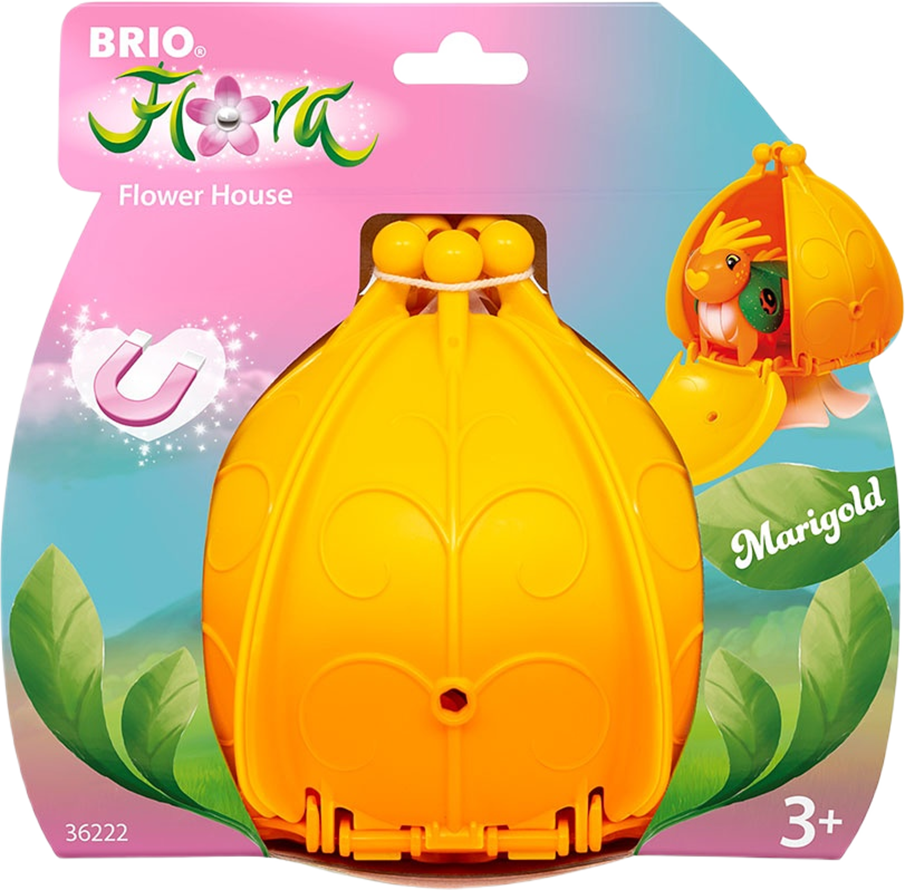 Flora Marigold Flower House