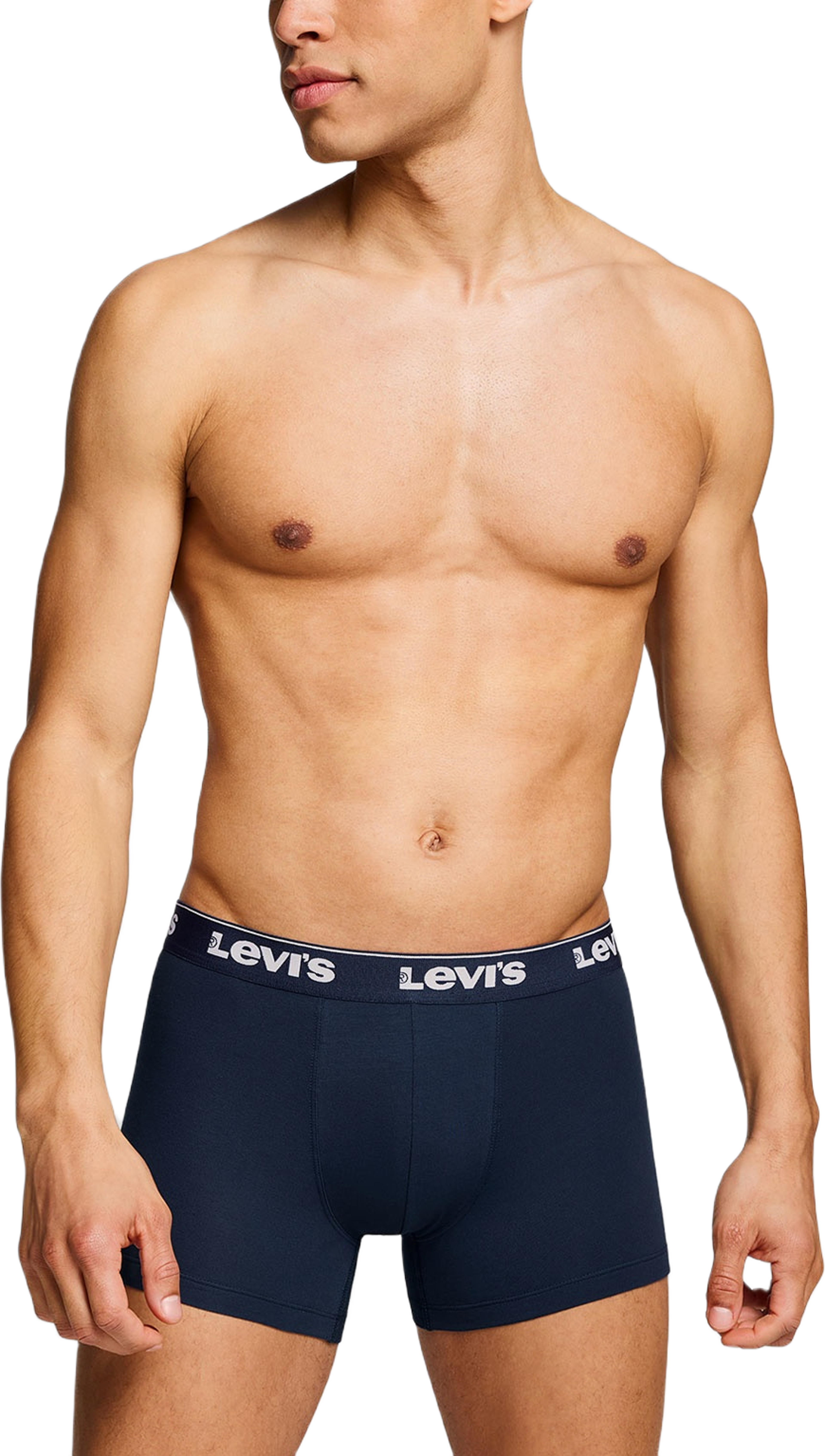 Levi's Repeat Logo Boxer brief 3-Pack