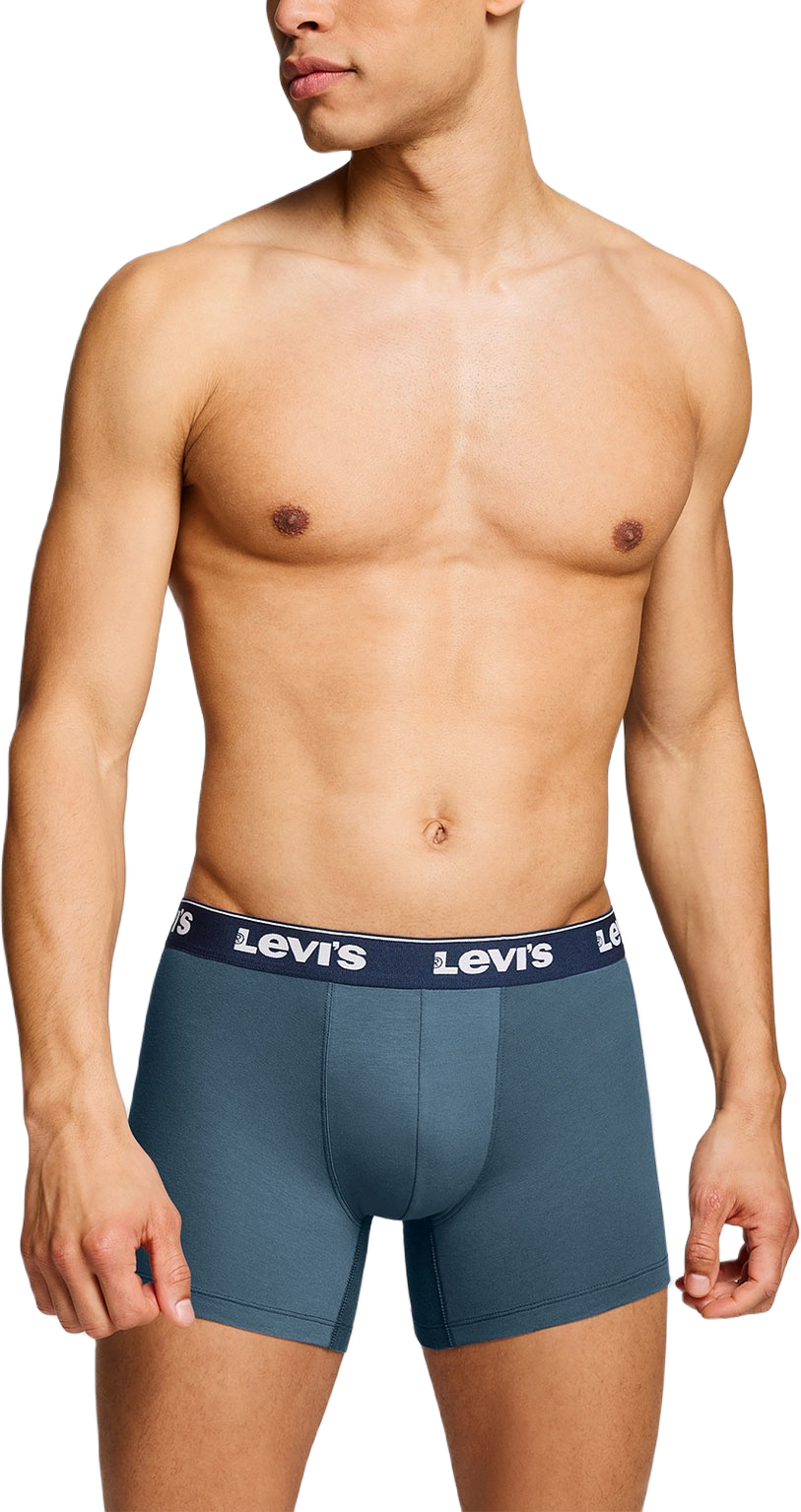 Levi's Repeat Logo Boxer brief 3-Pack