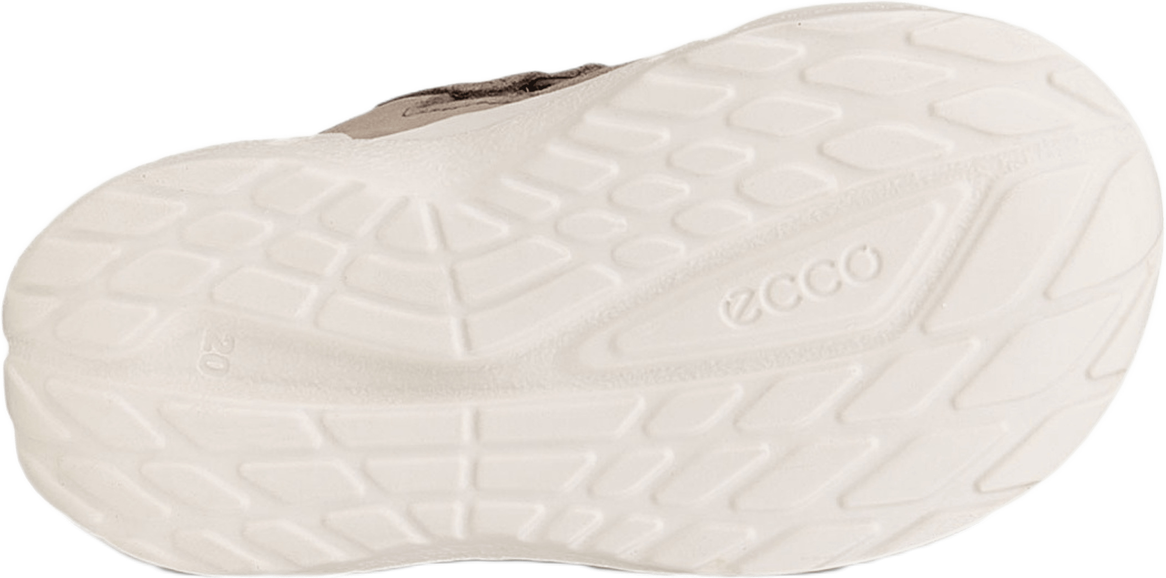 Biom 2.2 Infant