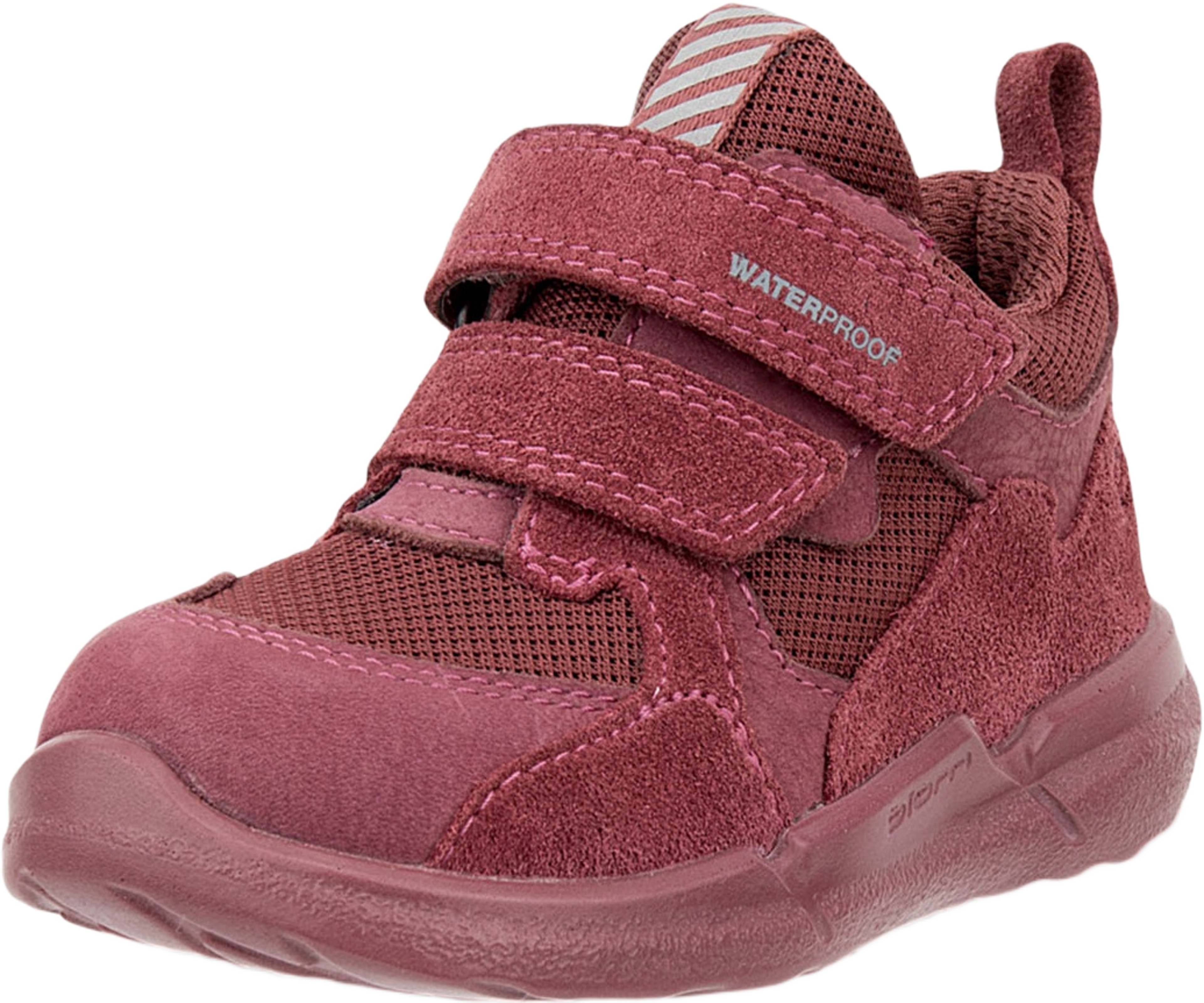 Biom 2.2 Infant