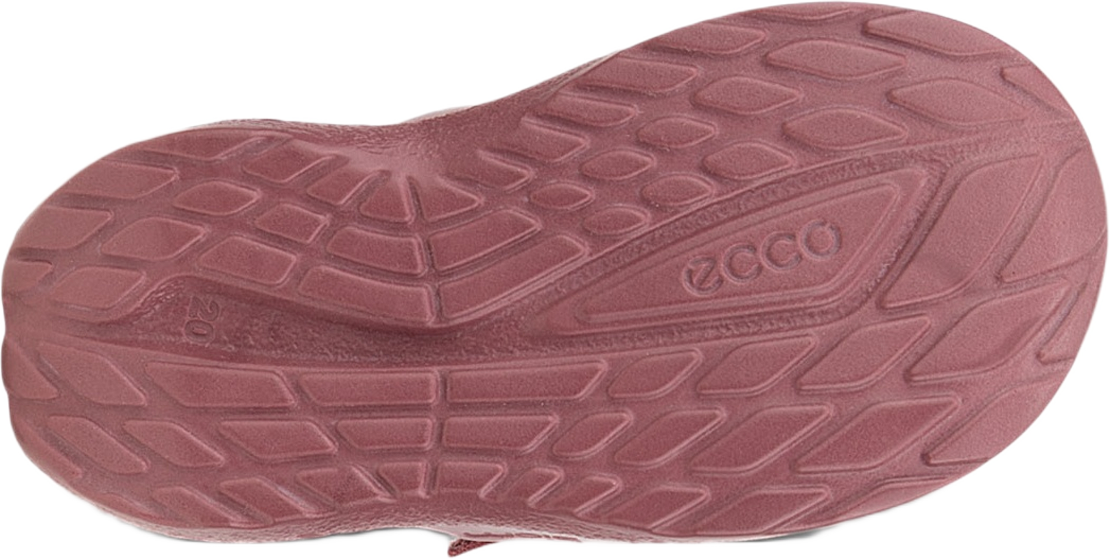 Biom 2.2 Infant