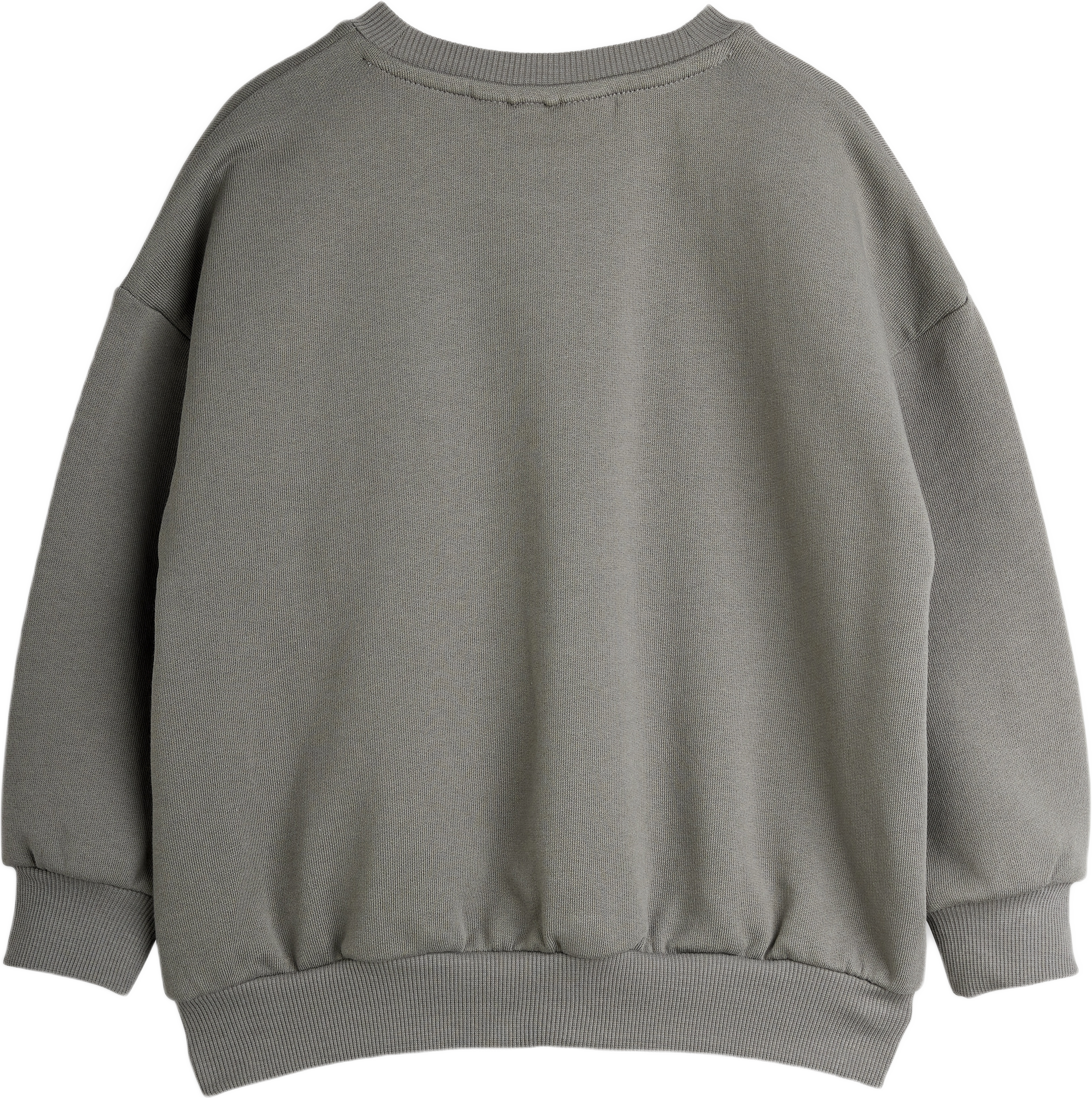Dino Patch Sweatshirt