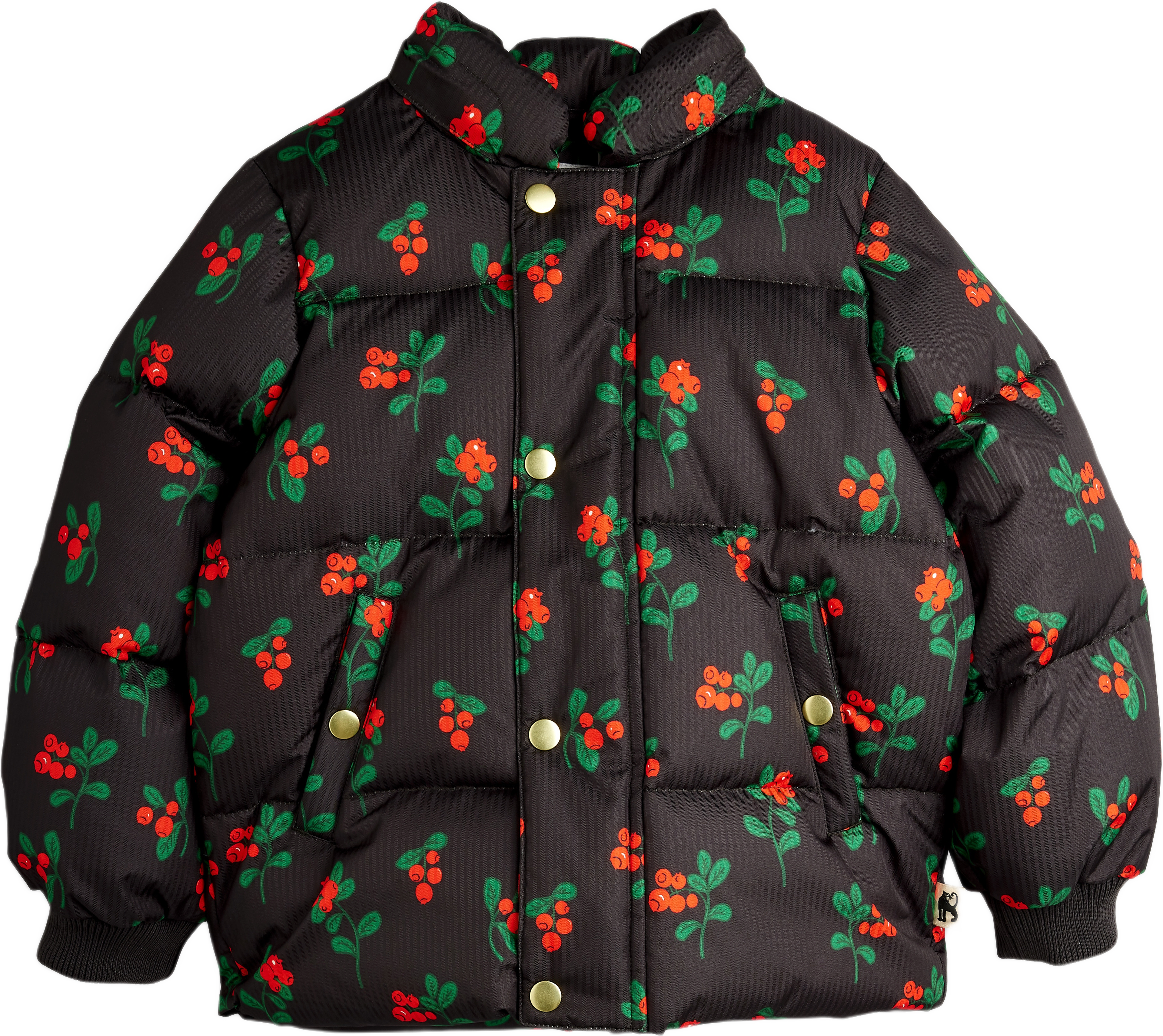 Lingonberries Puffjacka Med Luva