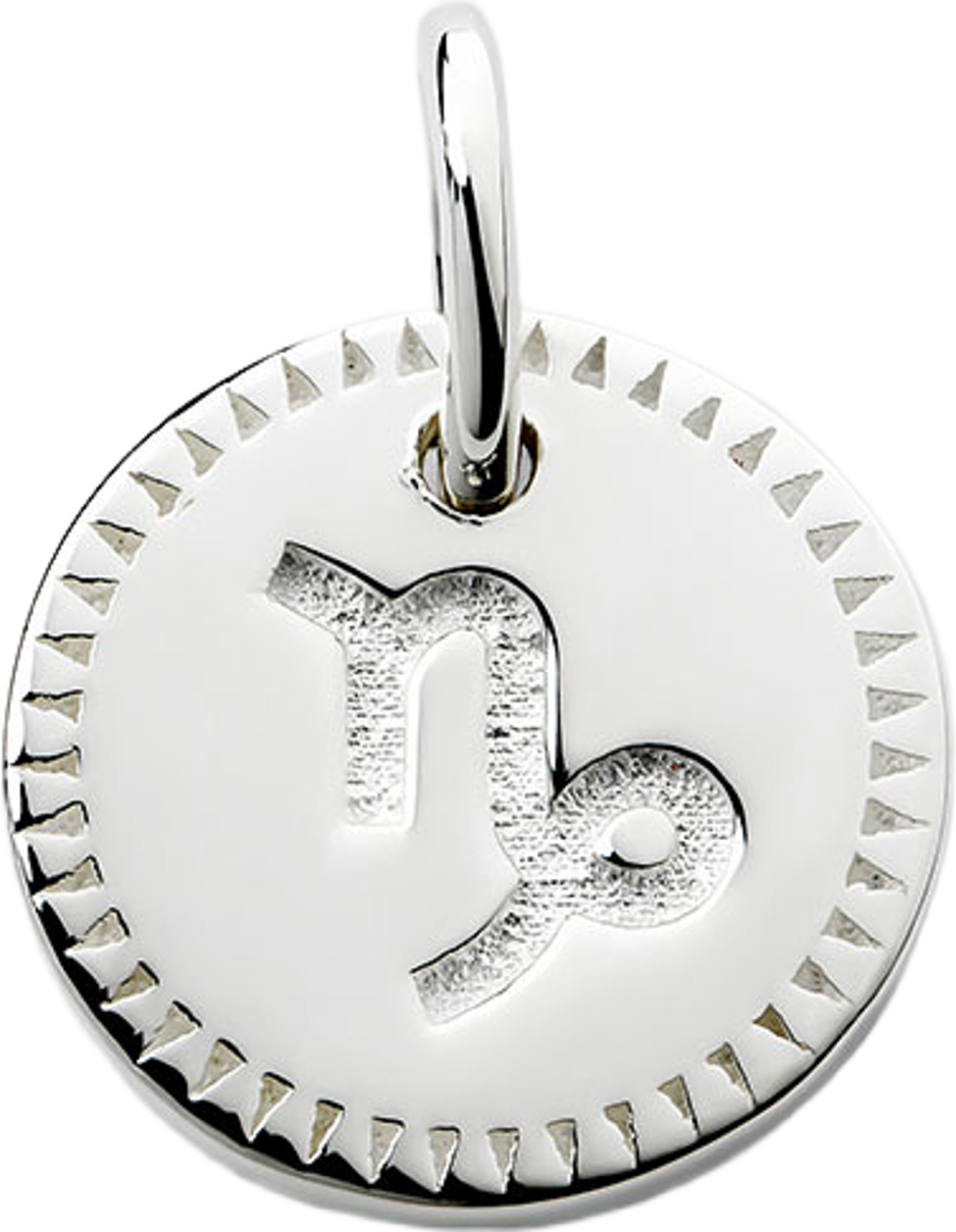 Beloved Zodie Silver, från Syster P, i färgen Capricorn.